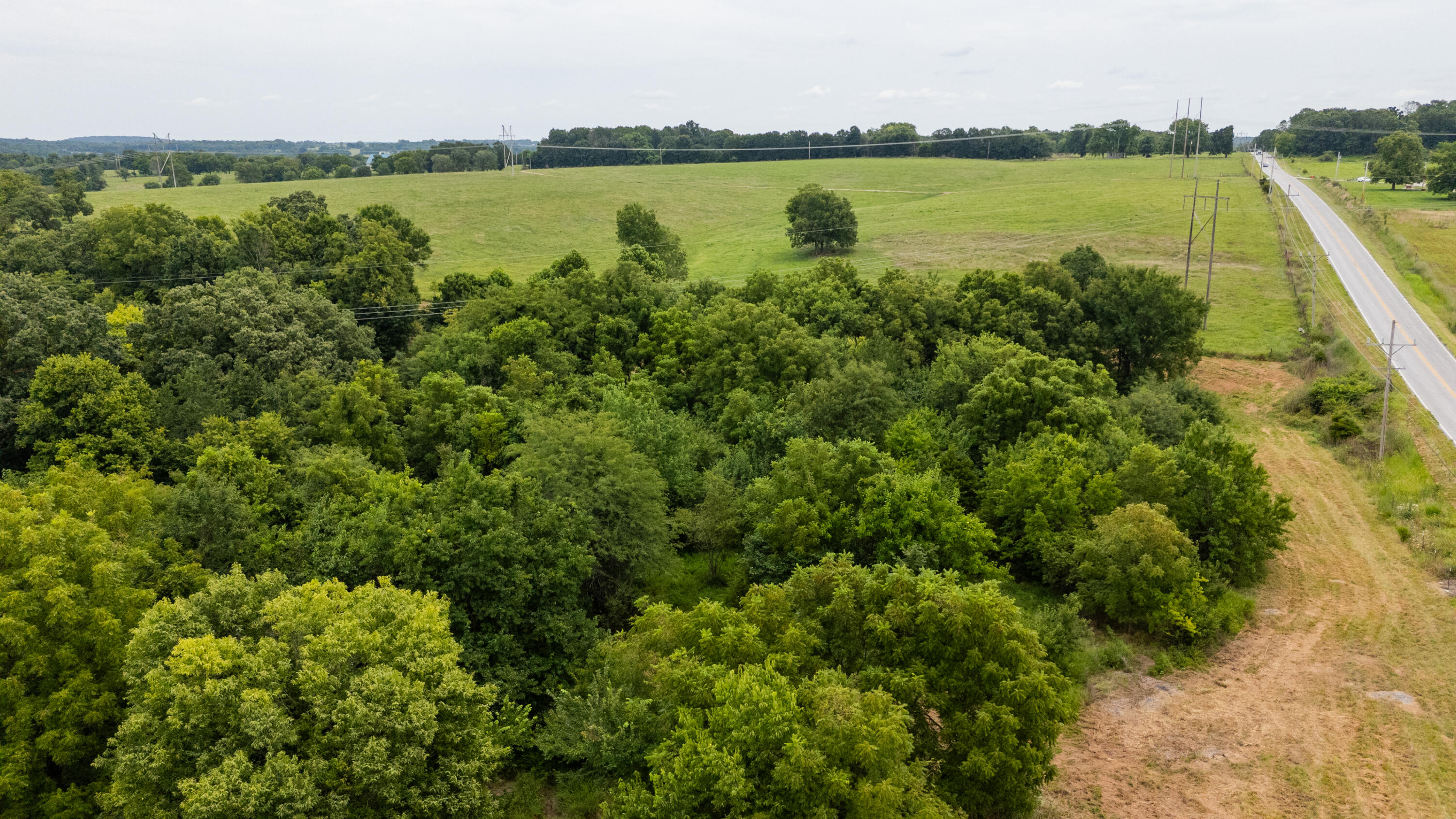 Photo 21 - Land for sale – Tract 2 N Farm Road 53   Walnut Grove, MO