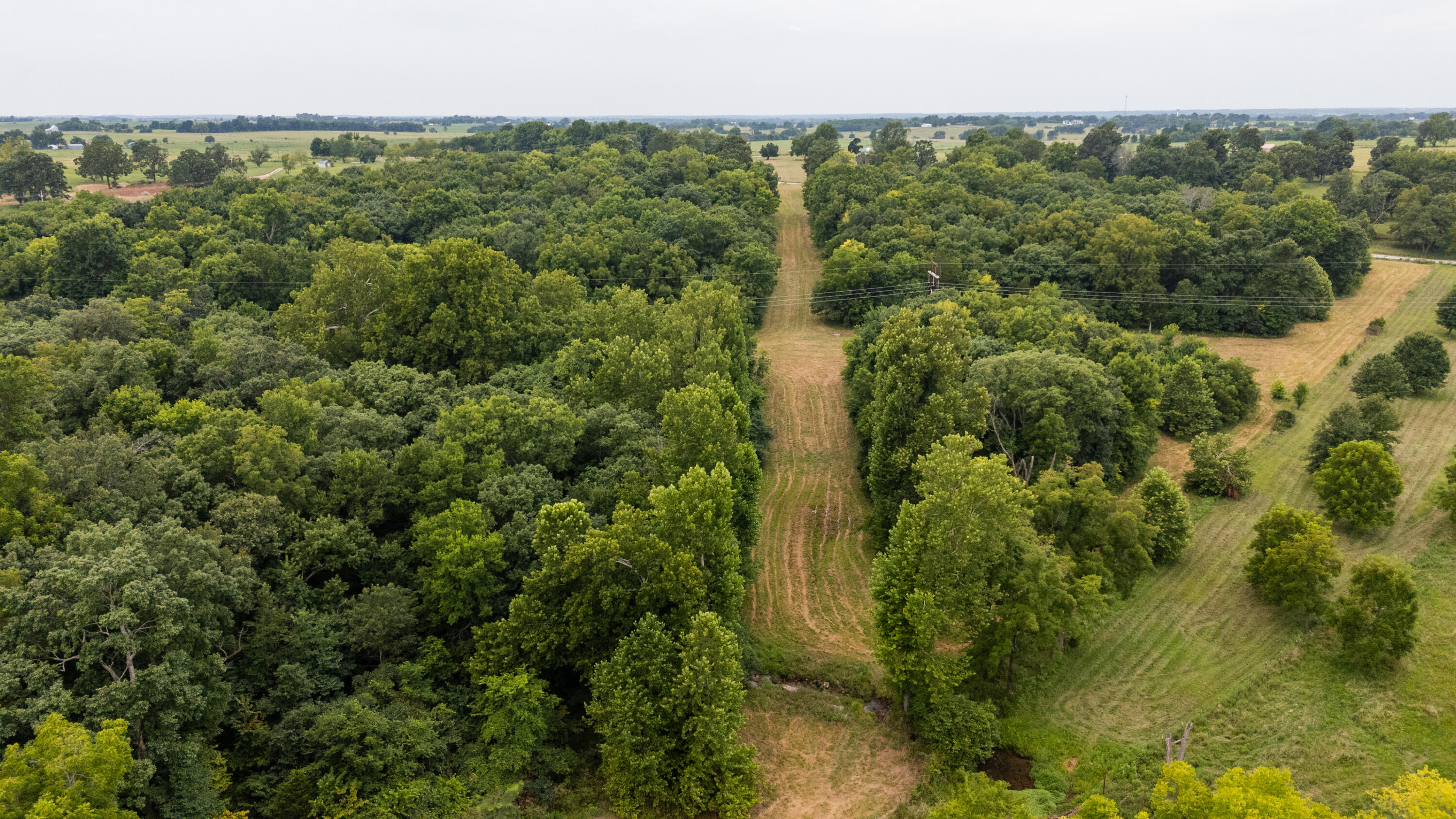 Photo 8 - Land for sale – Tract 2 N Farm Road 53   Walnut Grove, MO