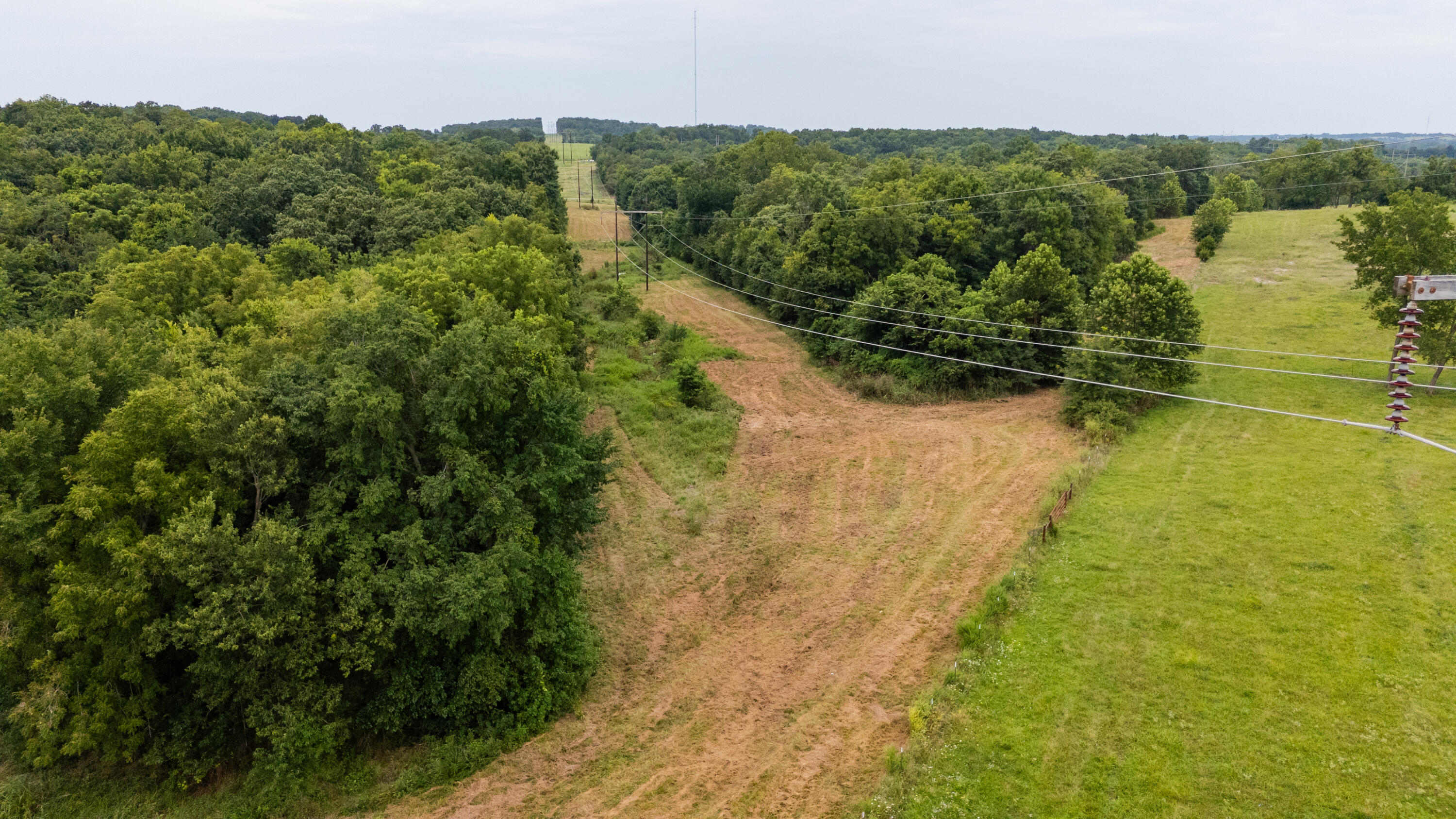 Photo 12 - Land for sale – Tract 3 N Farm Road 53   Walnut Grove, MO