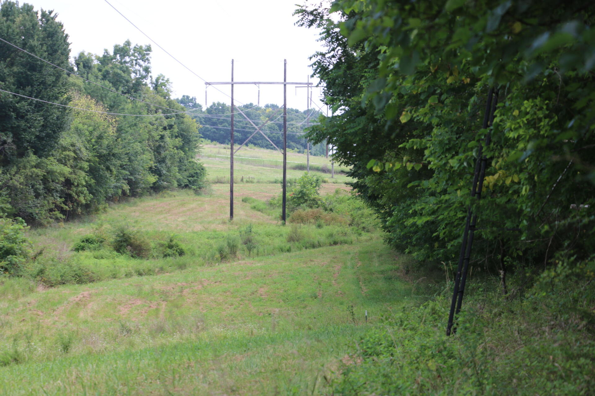 Photo 13 - Land for sale – Tract 3 N Farm Road 53   Walnut Grove, MO