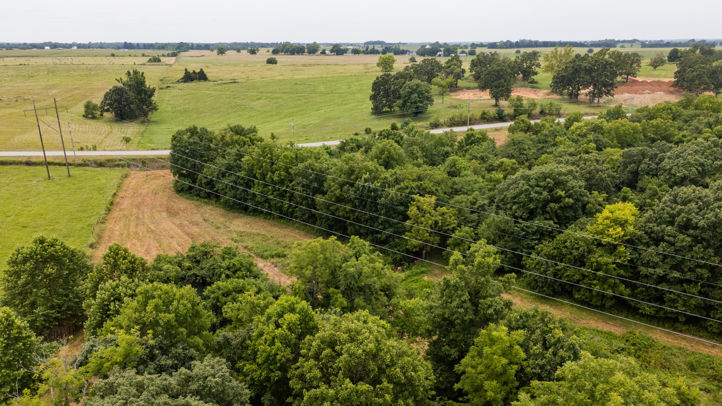 Photo 10 - Land for sale – Tract 3 N Farm Road 53   Walnut Grove, MO