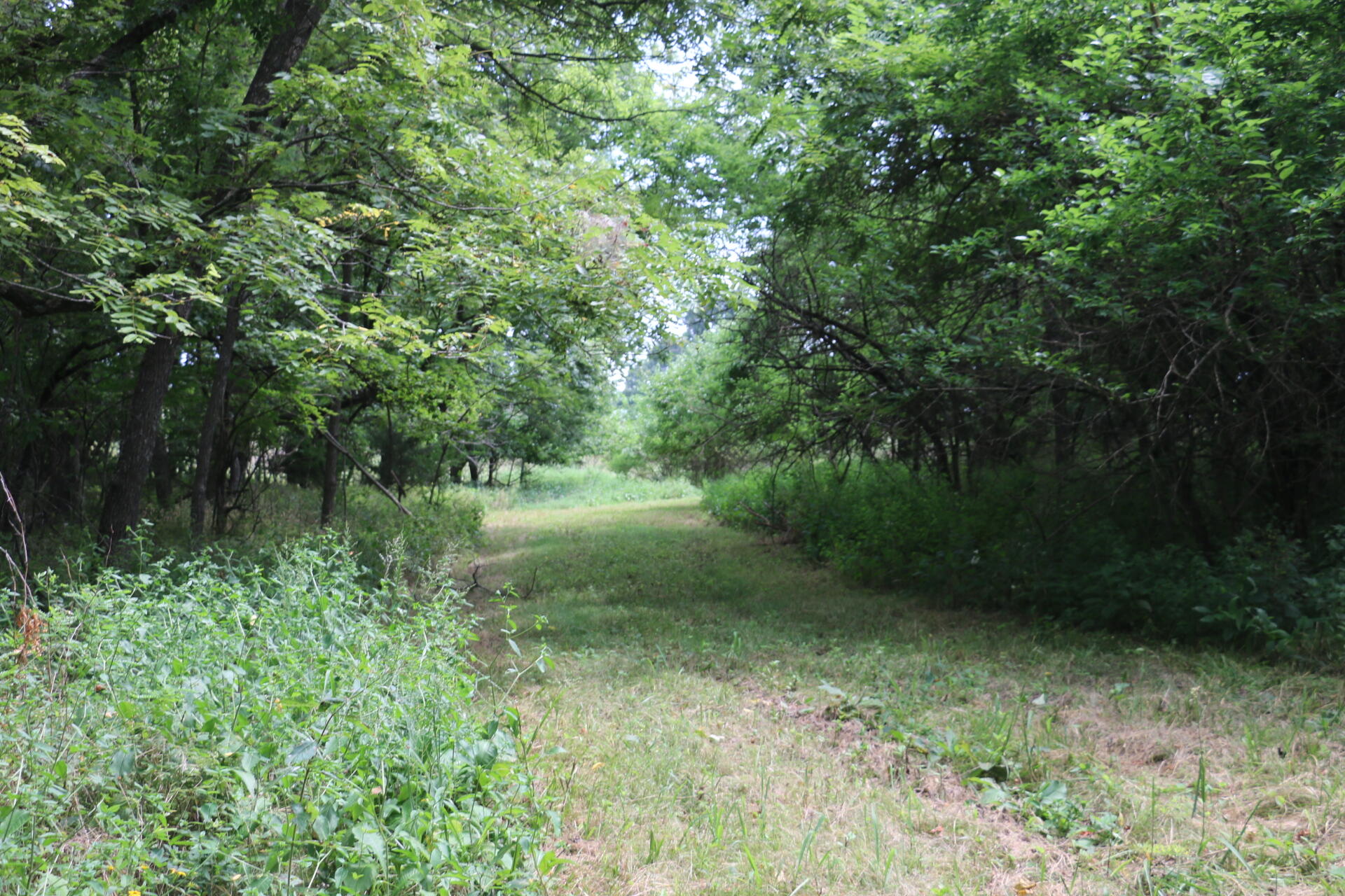 Photo 15 - Land for sale – Tract 3 N Farm Road 53   Walnut Grove, MO