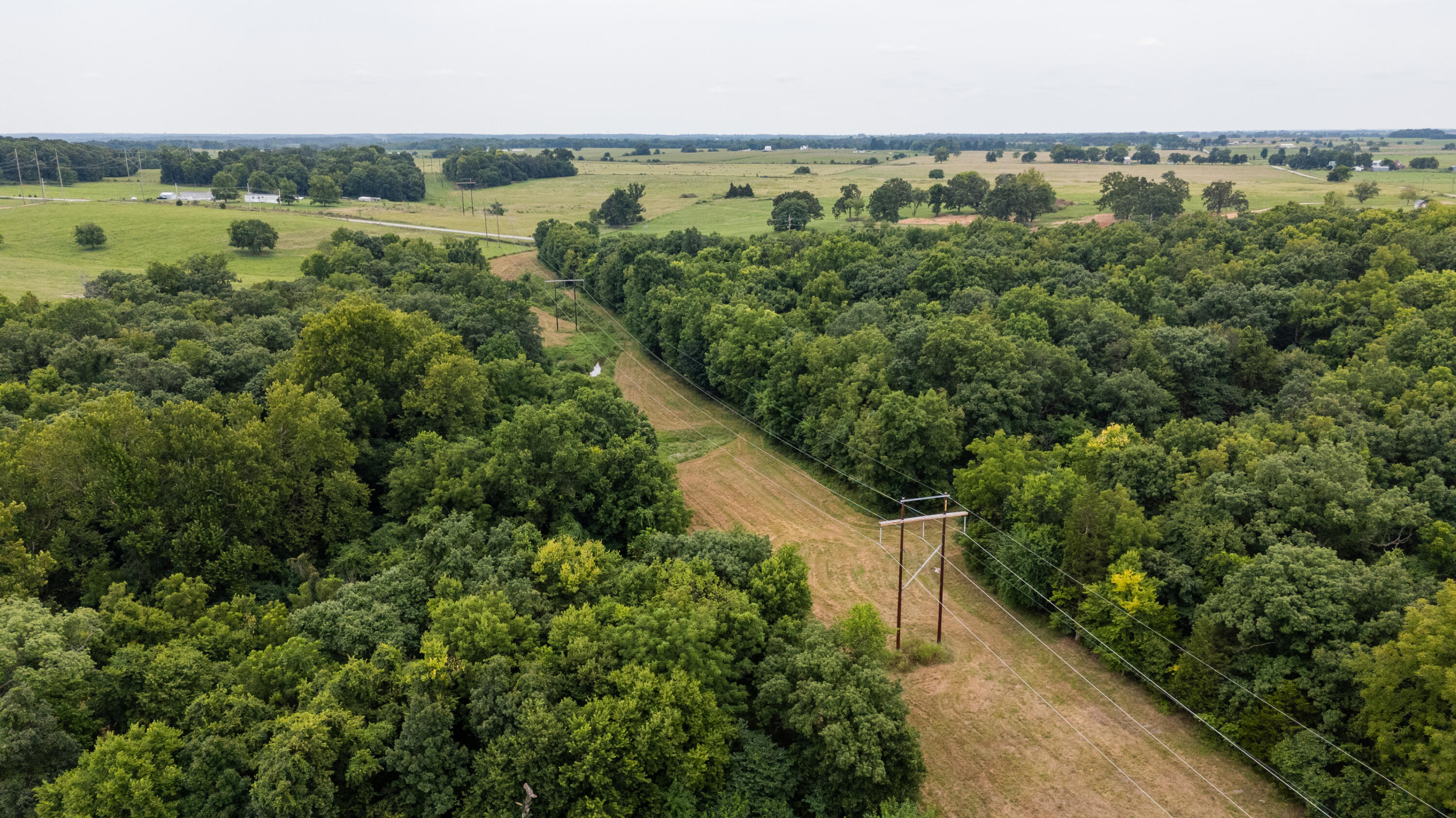 Photo 5 - Land for sale – Tract 3 N Farm Road 53   Walnut Grove, MO