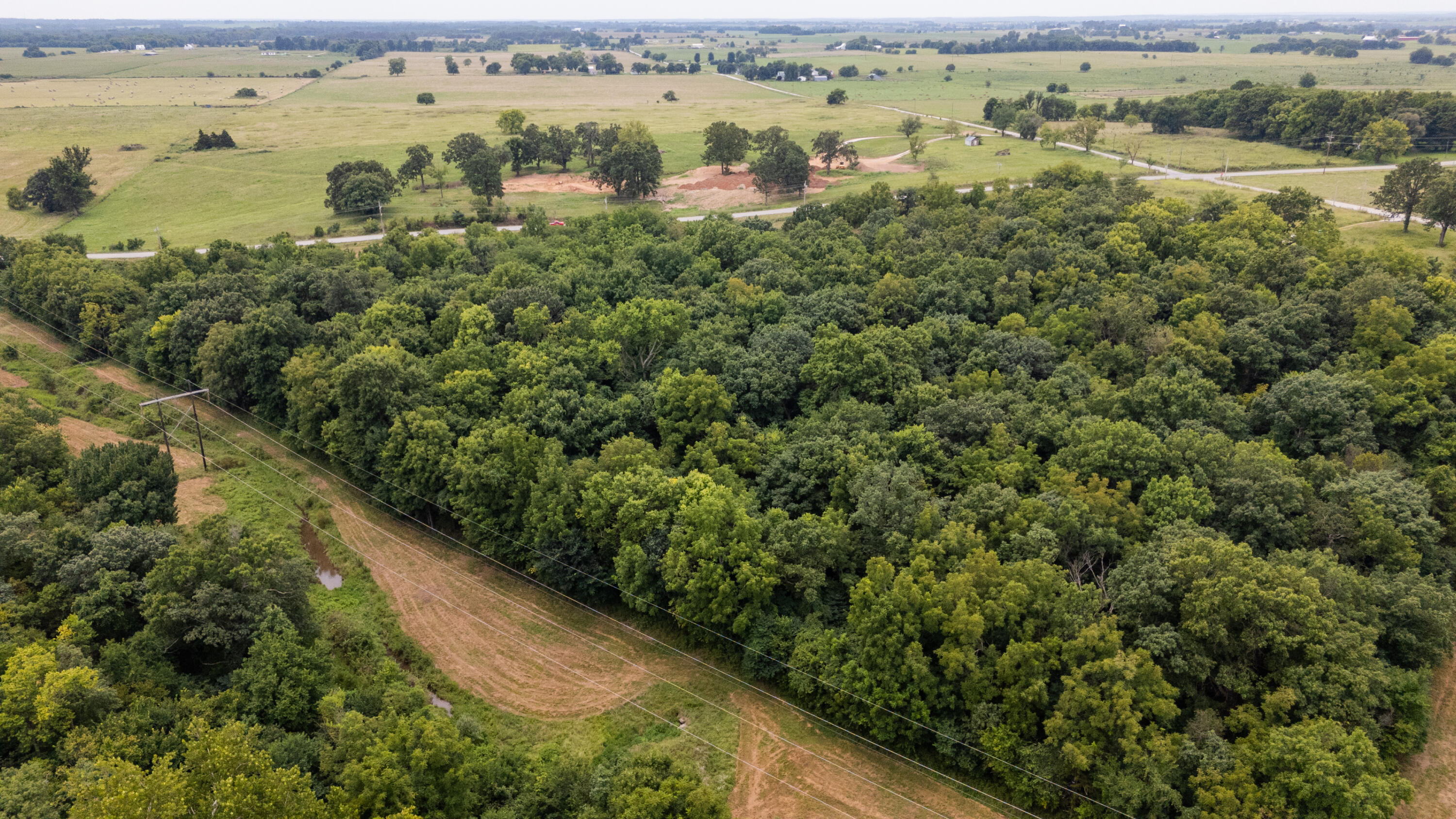 Photo 9 - Land for sale – Tract 3 N Farm Road 53   Walnut Grove, MO
