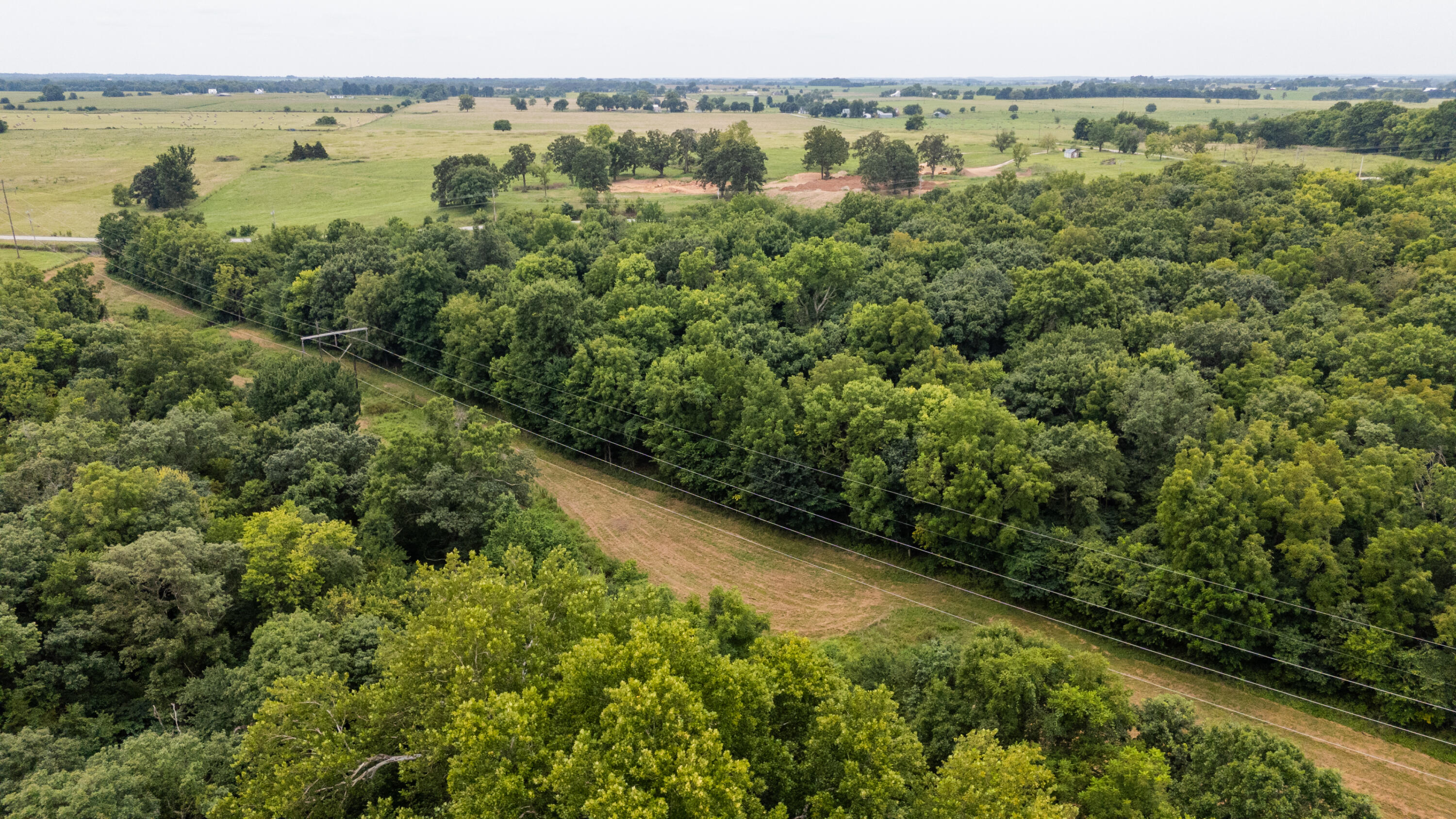Photo 8 - Land for sale – Tract 3 N Farm Road 53   Walnut Grove, MO