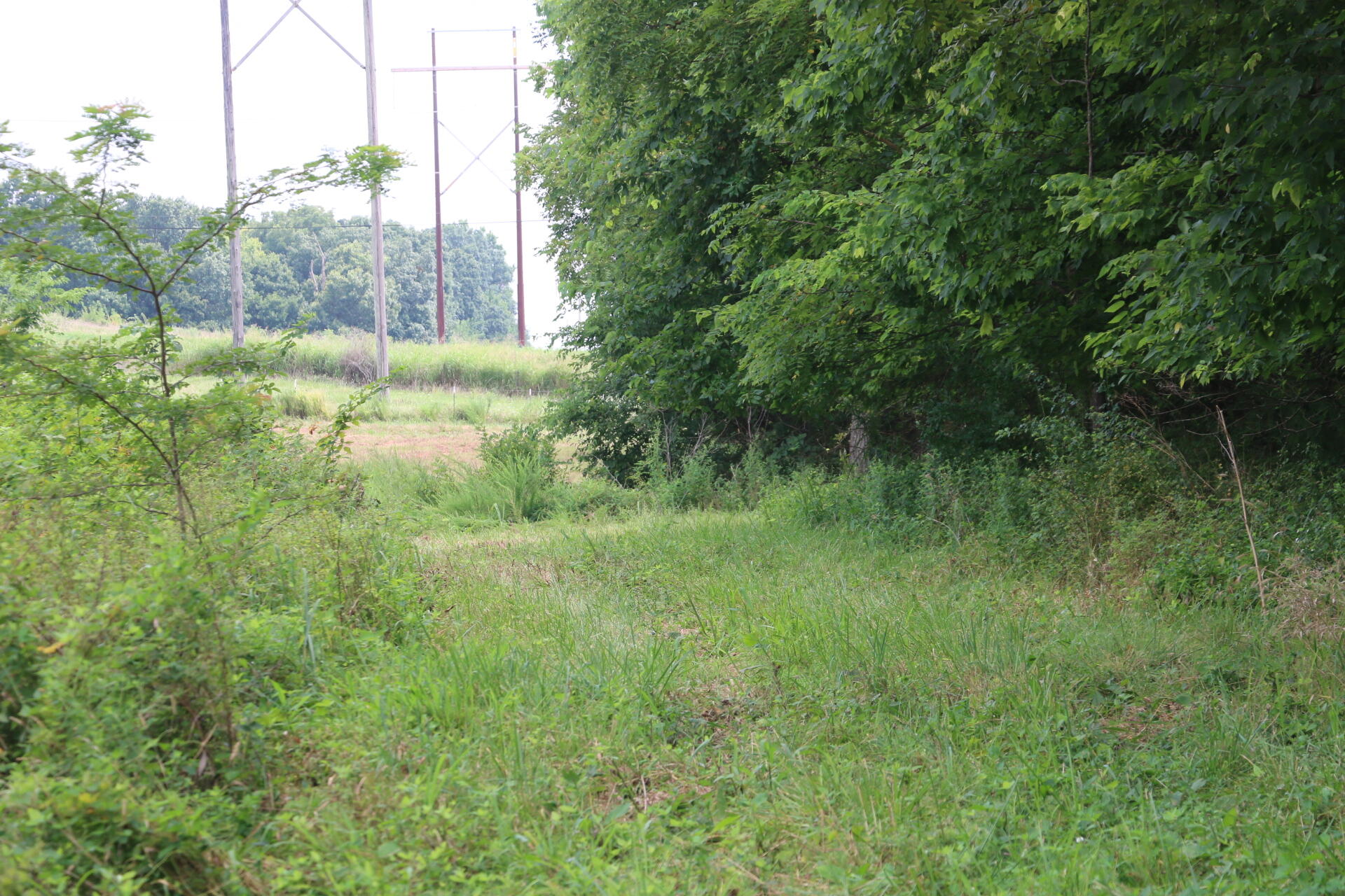 Photo 14 - Land for sale – Tract 3 N Farm Road 53   Walnut Grove, MO