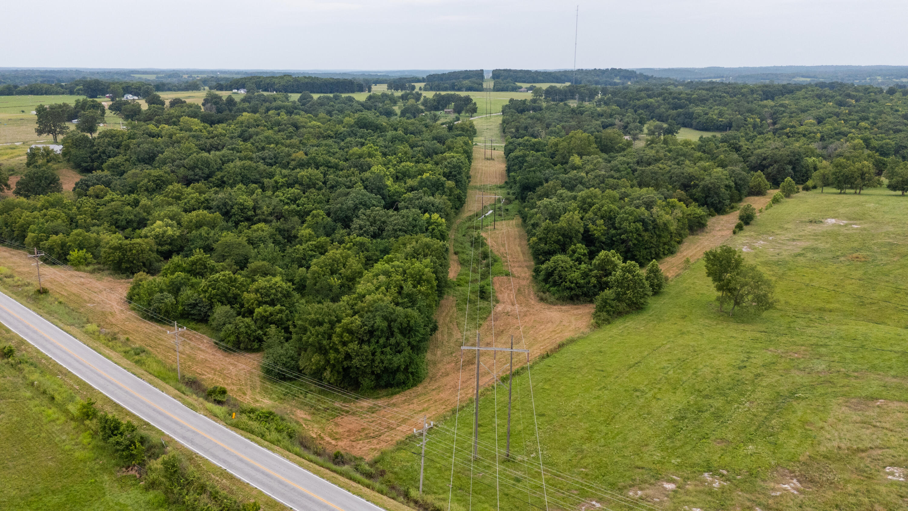 Photo 7 - Land for sale – Tract 3 N Farm Road 53   Walnut Grove, MO