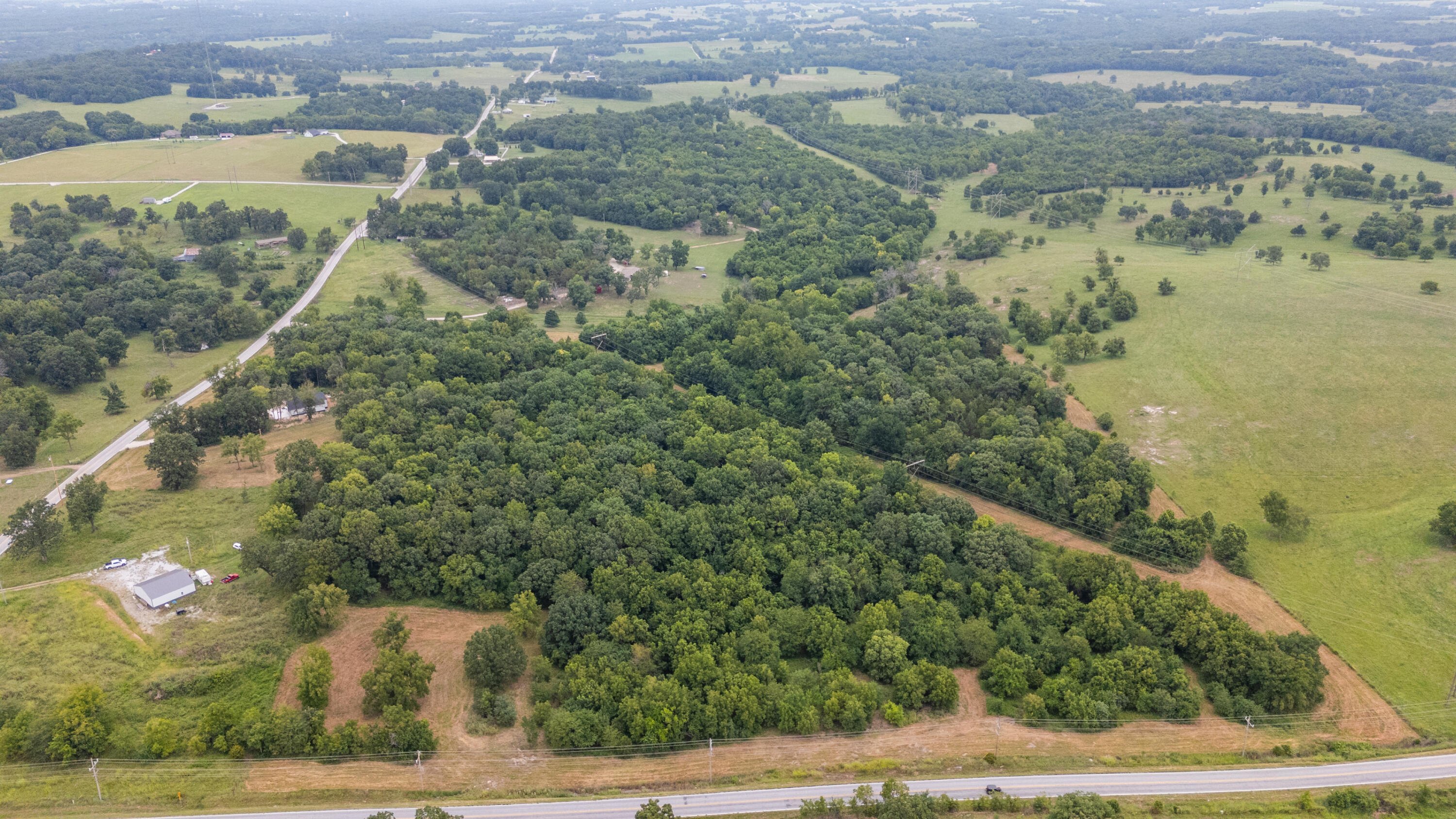 Photo 2 - Land for sale – Tract 3 N Farm Road 53   Walnut Grove, MO