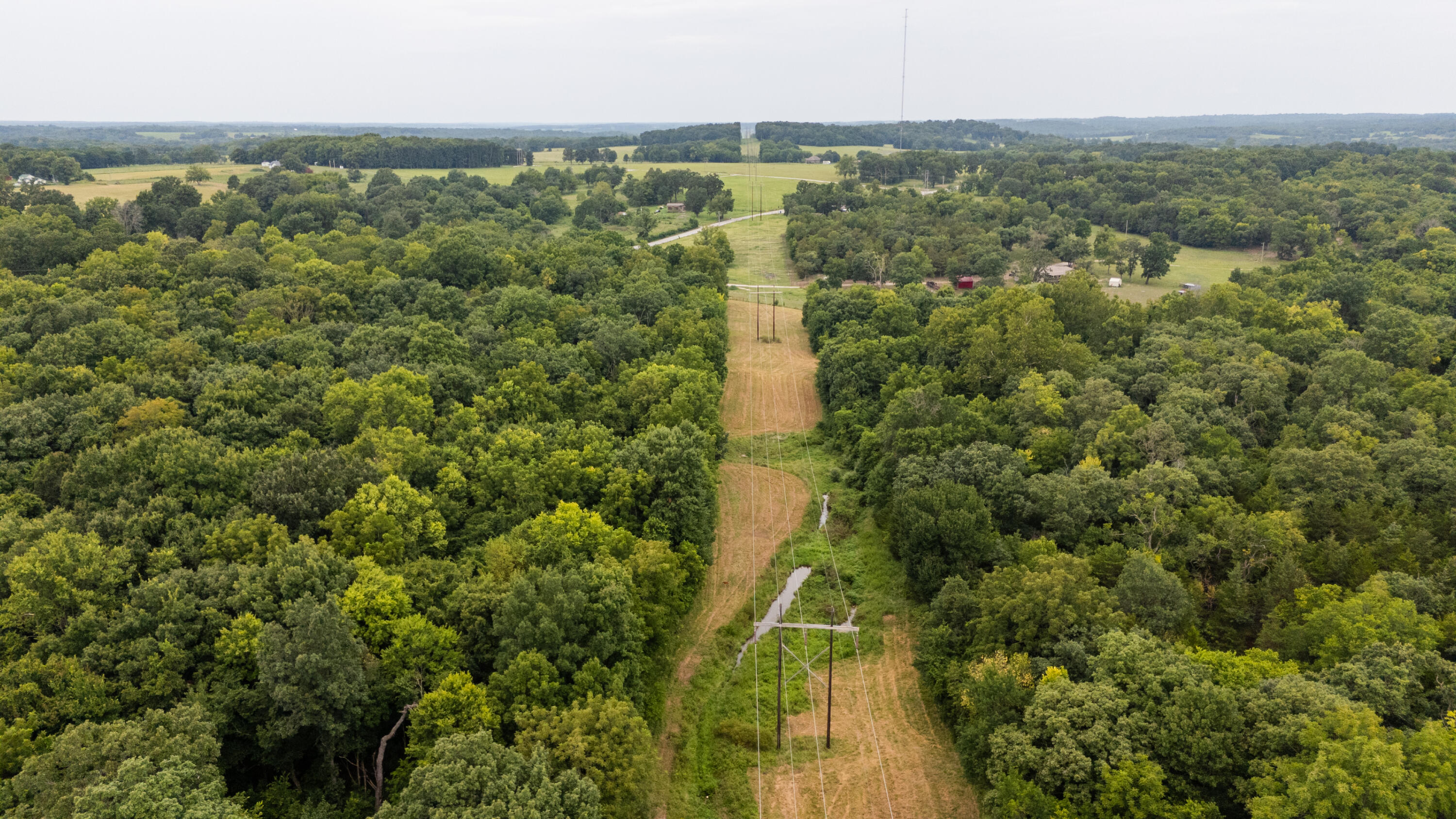 Photo 4 - Land for sale – Tract 3 N Farm Road 53   Walnut Grove, MO