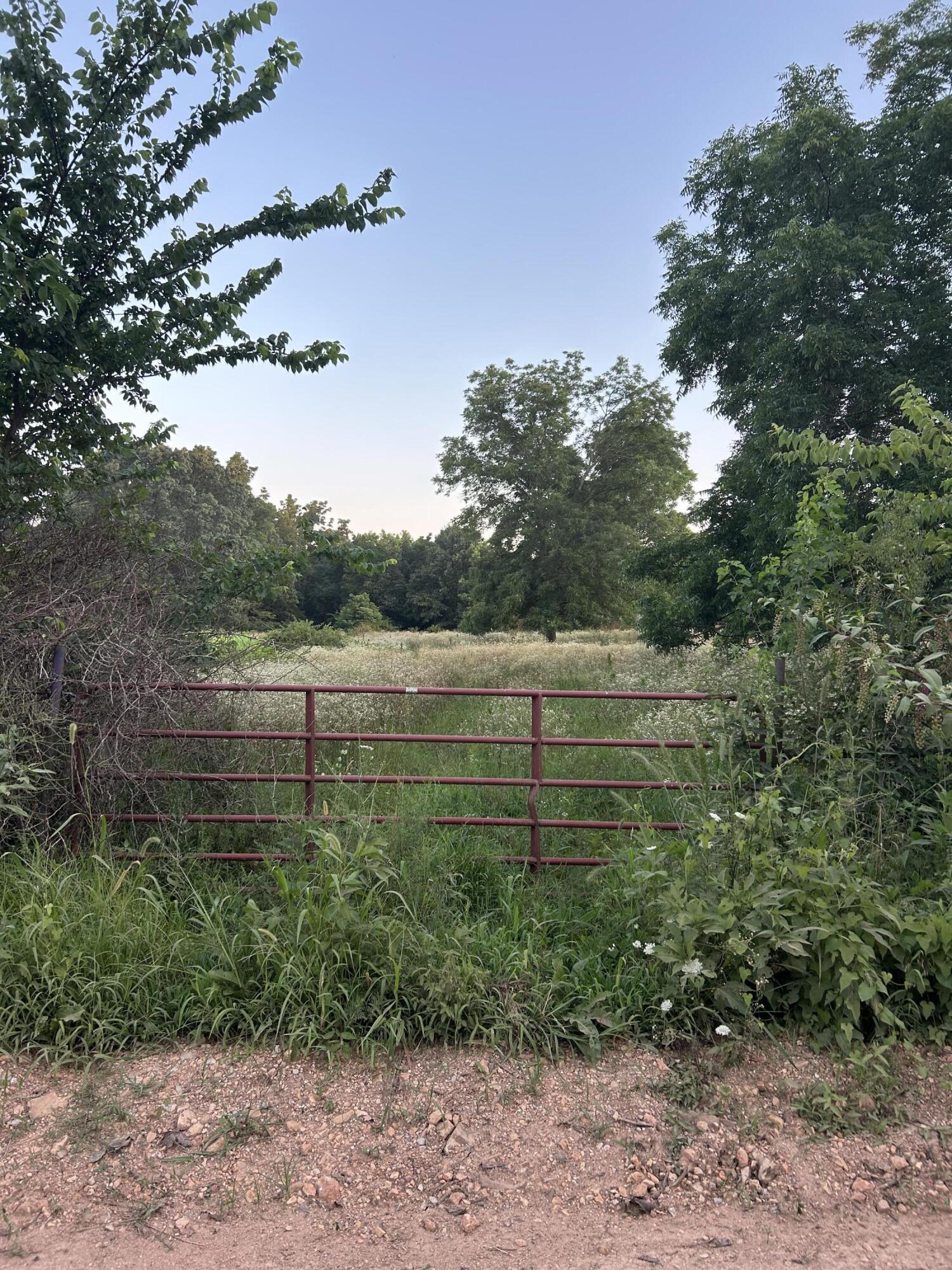 Photo 6 - Land for sale – 000  Carnell Rd   Rocky Comfort, MO