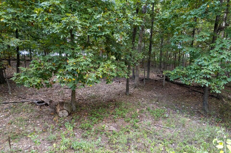 Photo 5 - Land for sale – 000  Carnell Rd   Rocky Comfort, MO