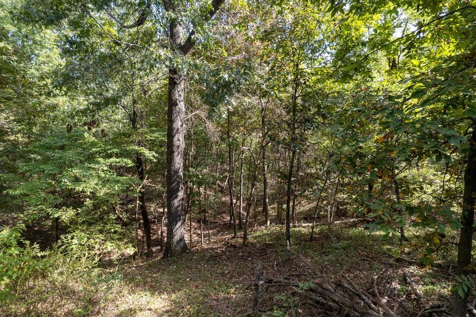 Photo 4 - Land for sale – 000  Carnell Rd   Rocky Comfort, MO