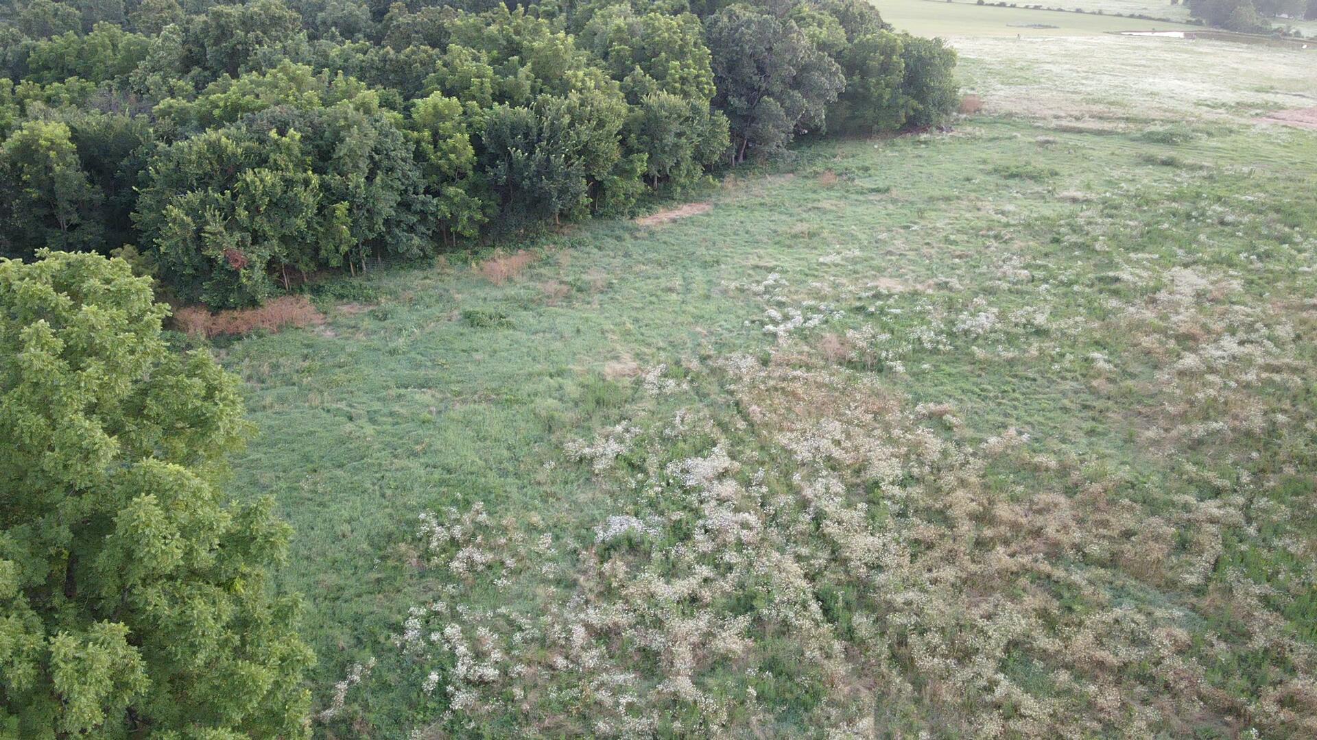 Photo 9 - Land for sale – 000  Carnell Rd   Rocky Comfort, MO