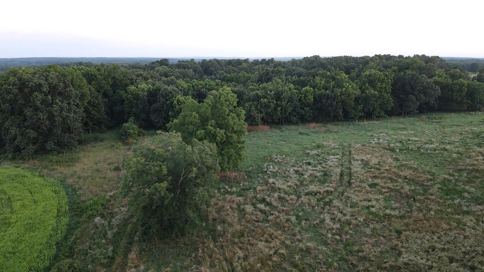Photo 10 - Land for sale – 000  Carnell Rd   Rocky Comfort, MO