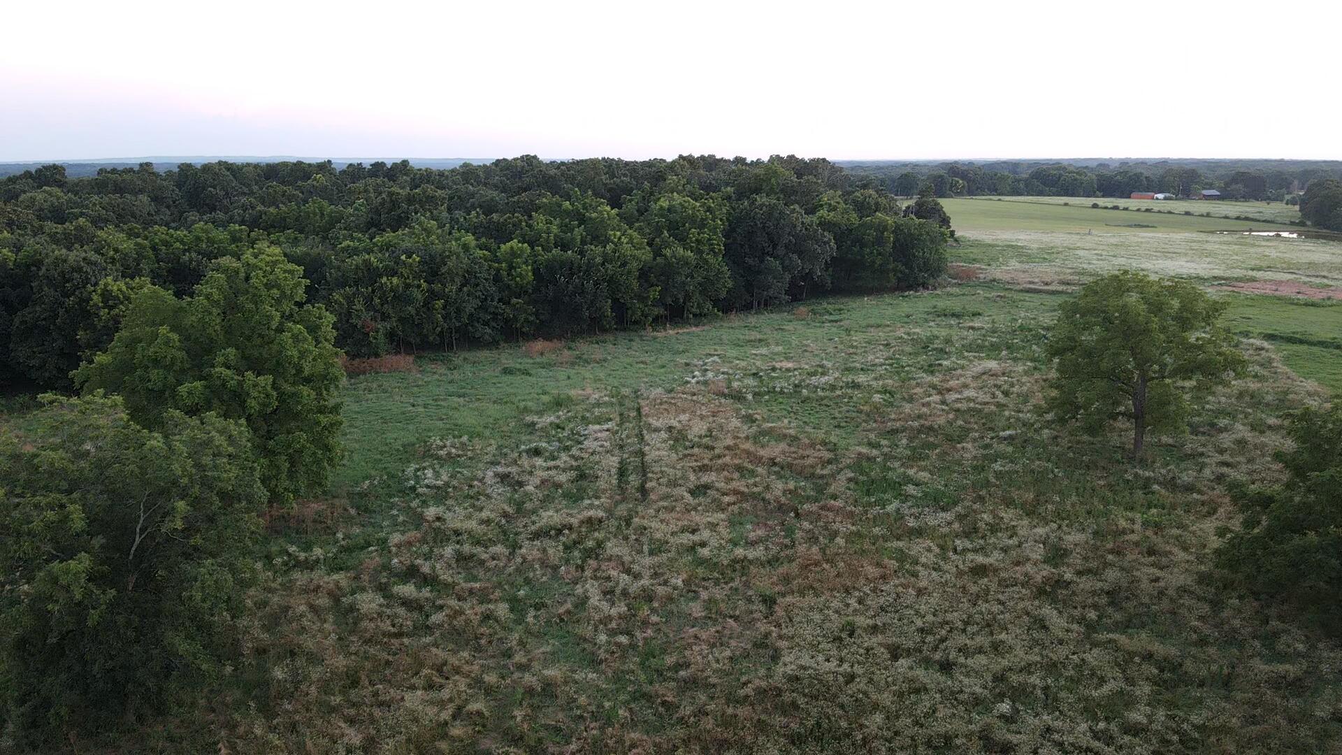 Photo 8 - Land for sale – 000  Carnell Rd   Rocky Comfort, MO