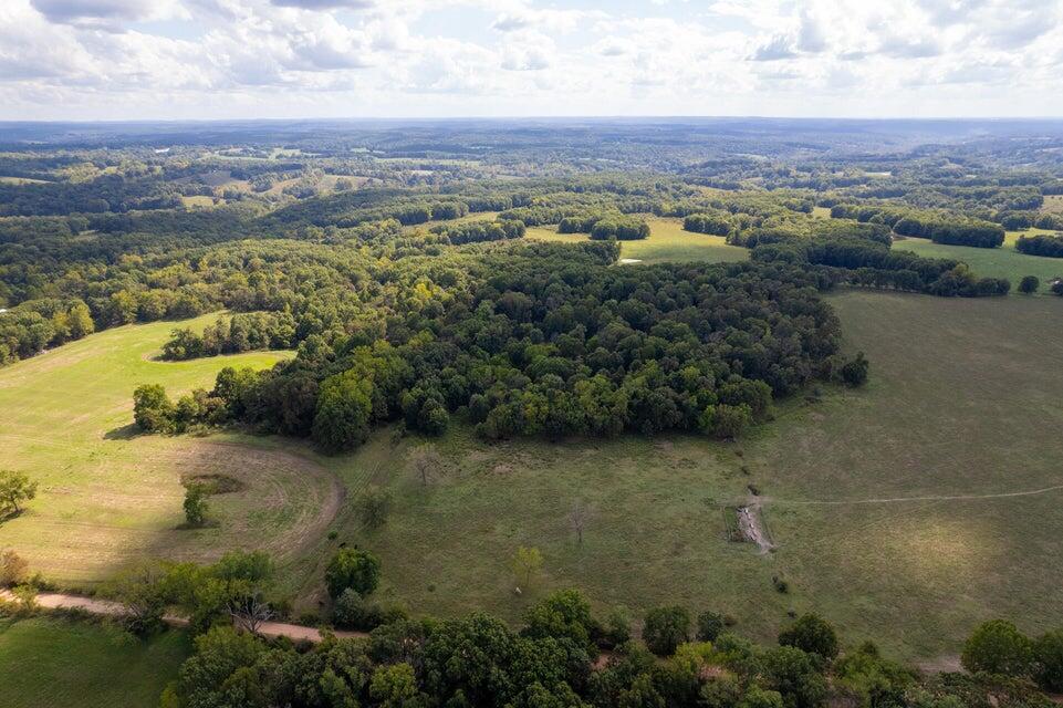 Photo 3 - Land for sale – 000  Carnell Rd   Rocky Comfort, MO
