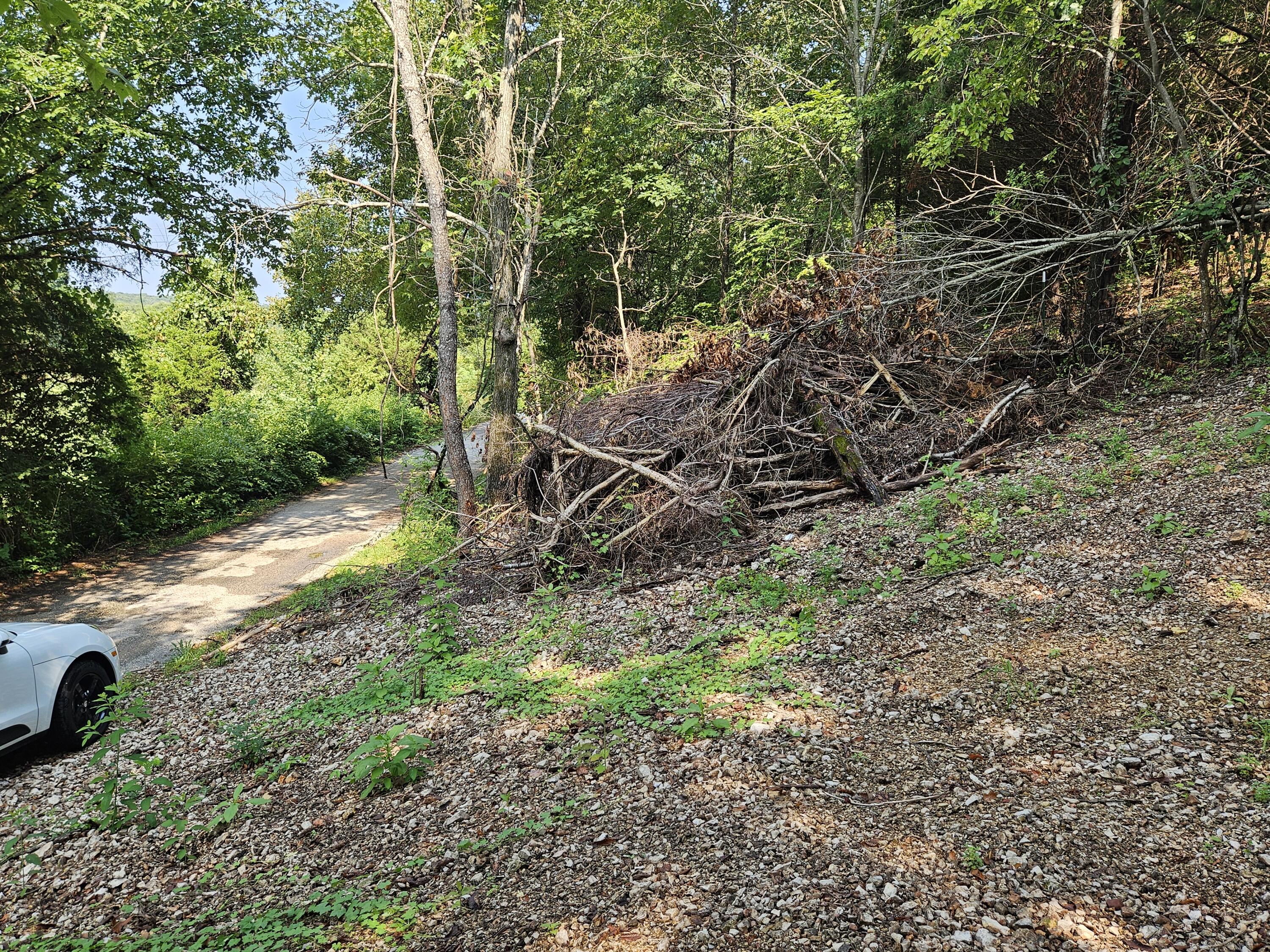 Photo 10 - Land for sale – 000  Mclean Road  Ozark, MO