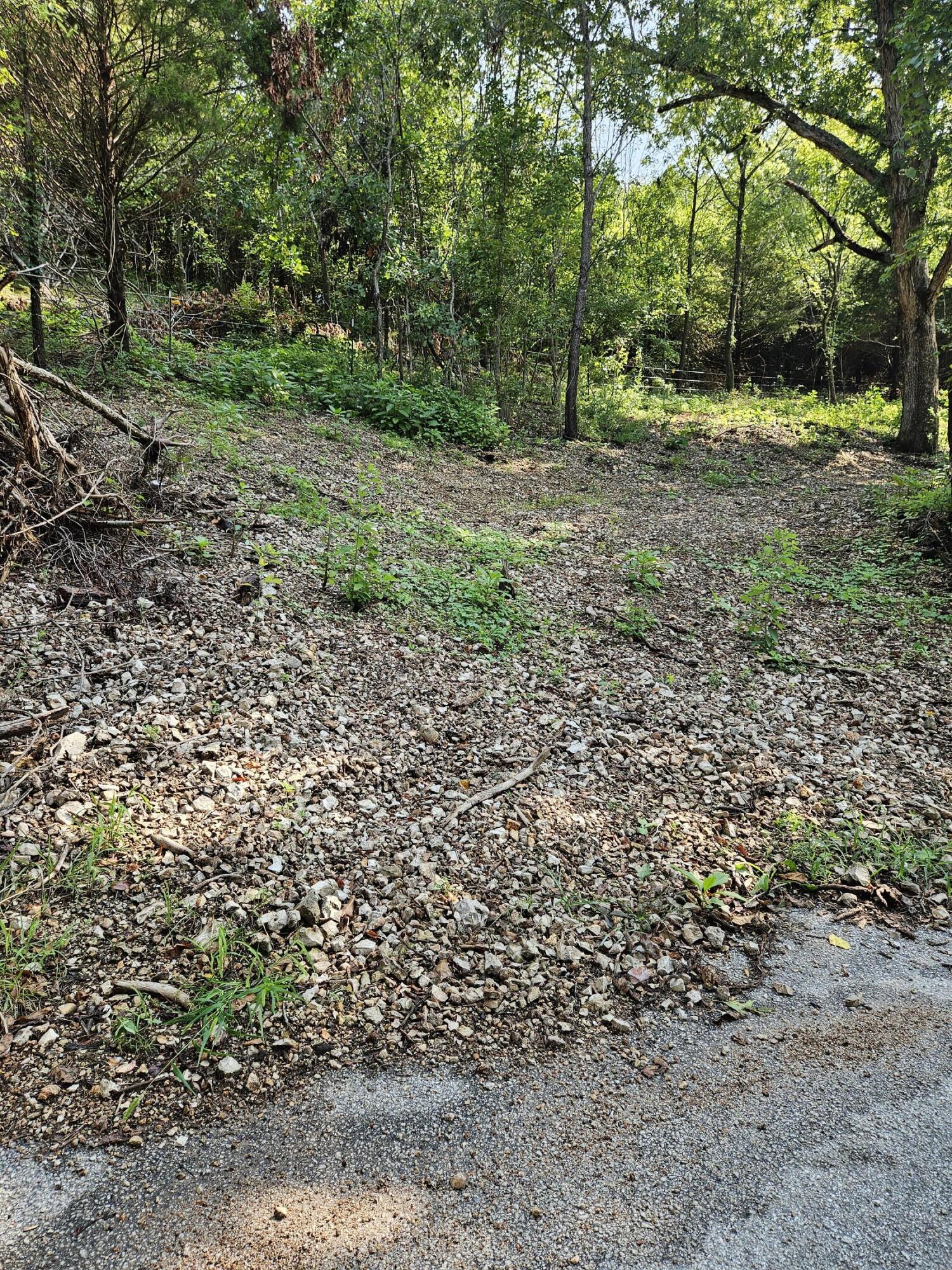 Photo 5 - Land for sale – 000  Mclean Road  Ozark, MO