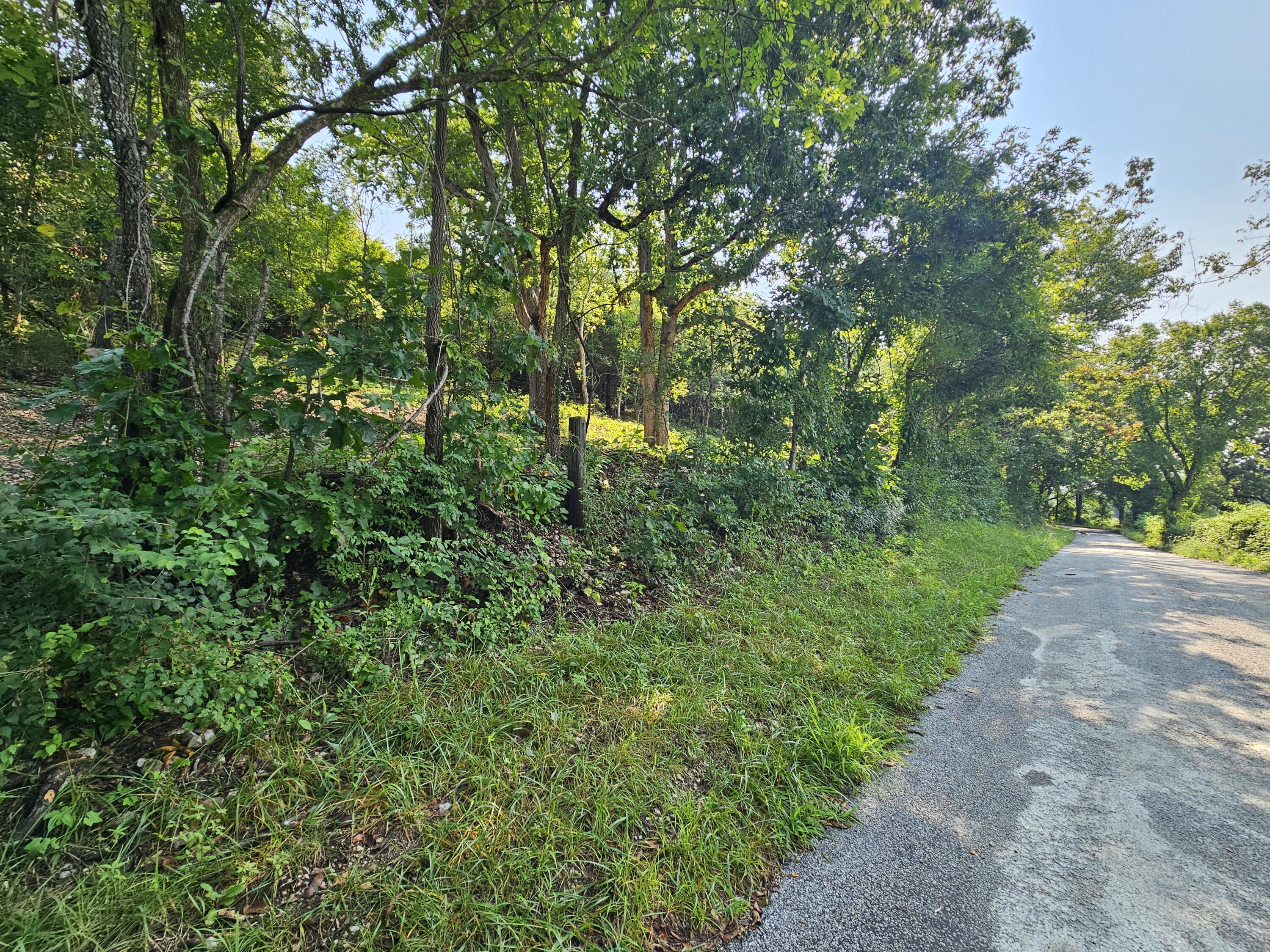 Photo 2 - Land for sale – 000  Mclean Road  Ozark, MO