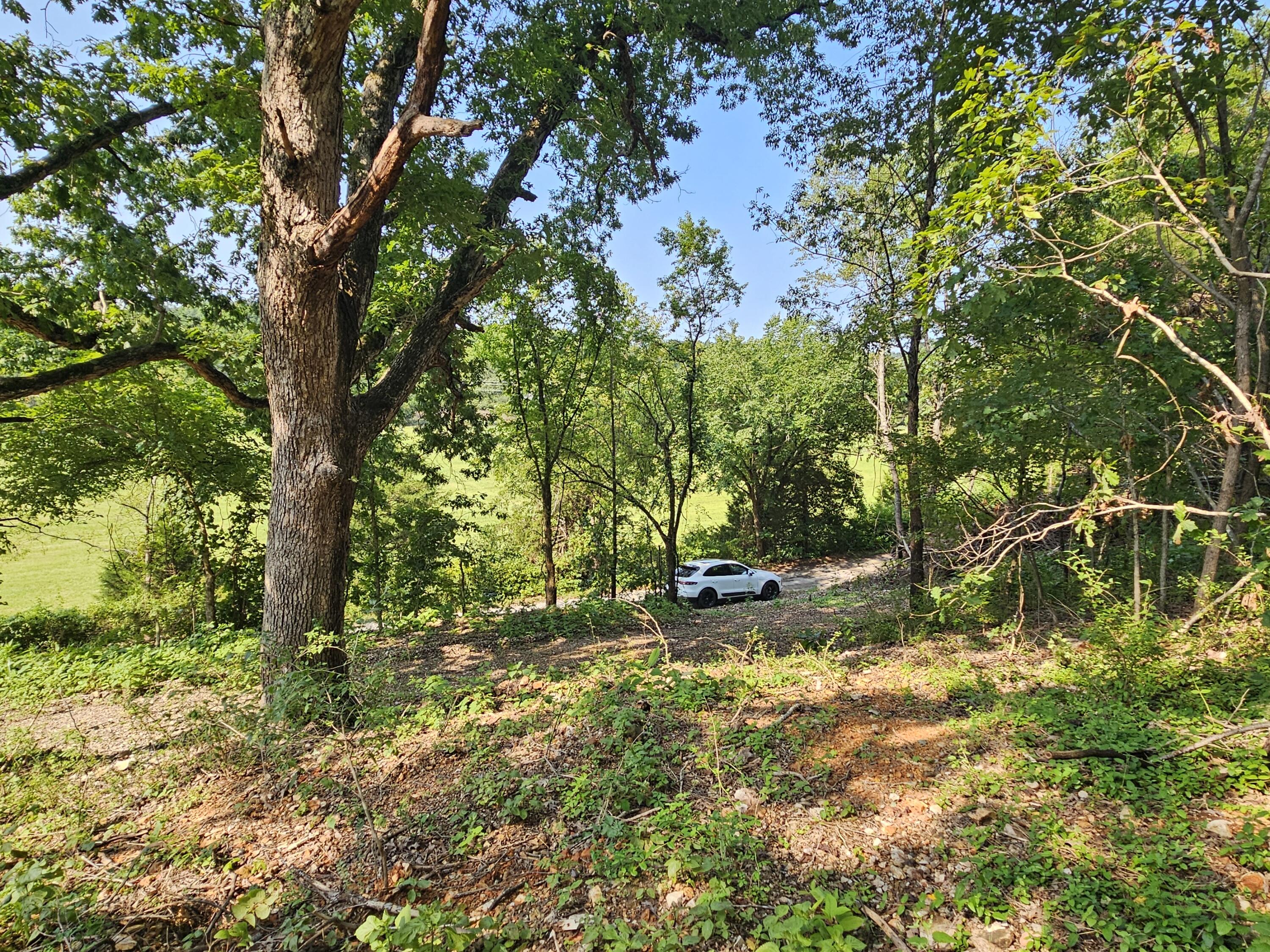 Photo 6 - Land for sale – 000  Mclean Road  Ozark, MO