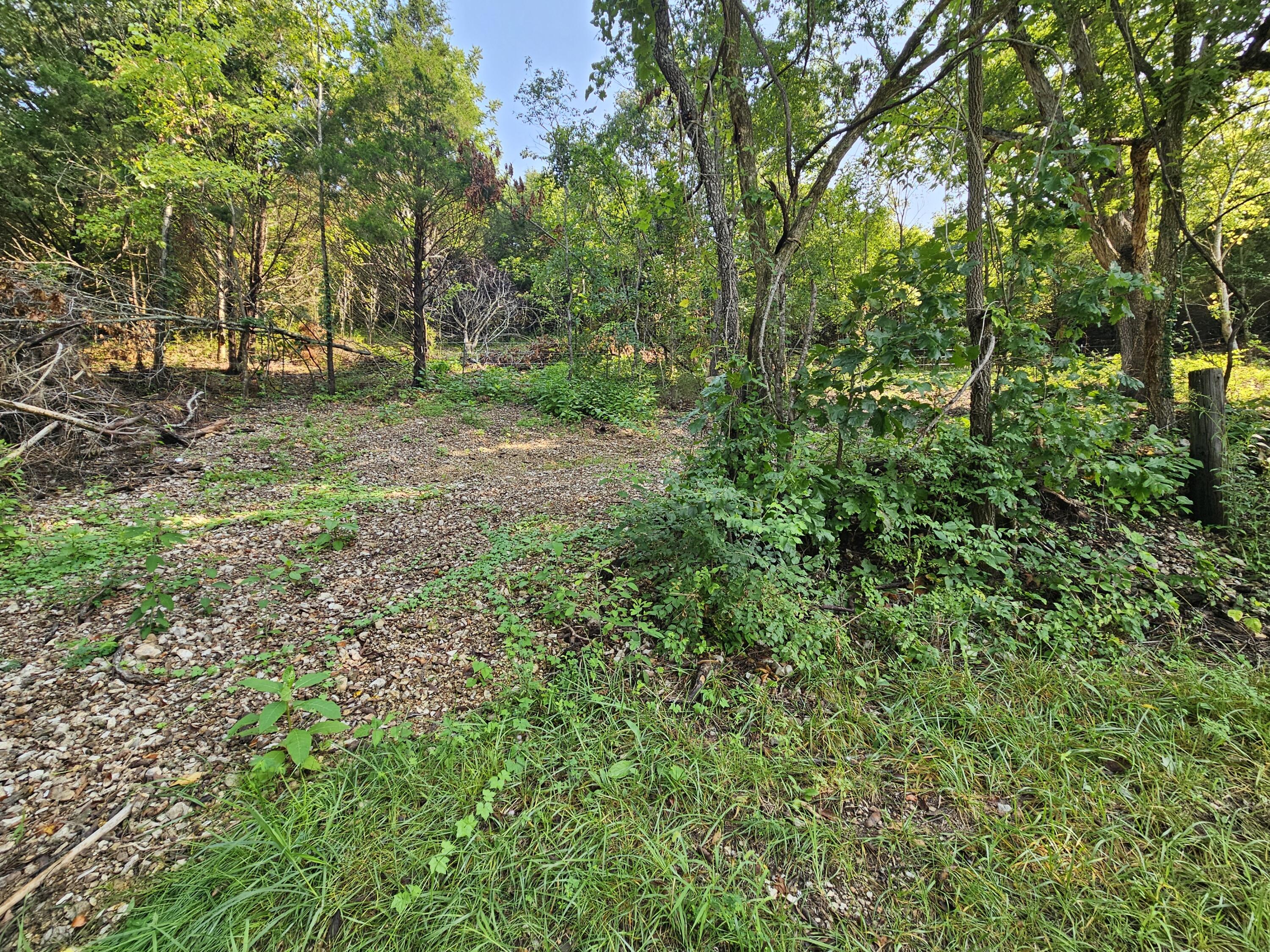 Photo 3 - Land for sale – 000  Mclean Road  Ozark, MO