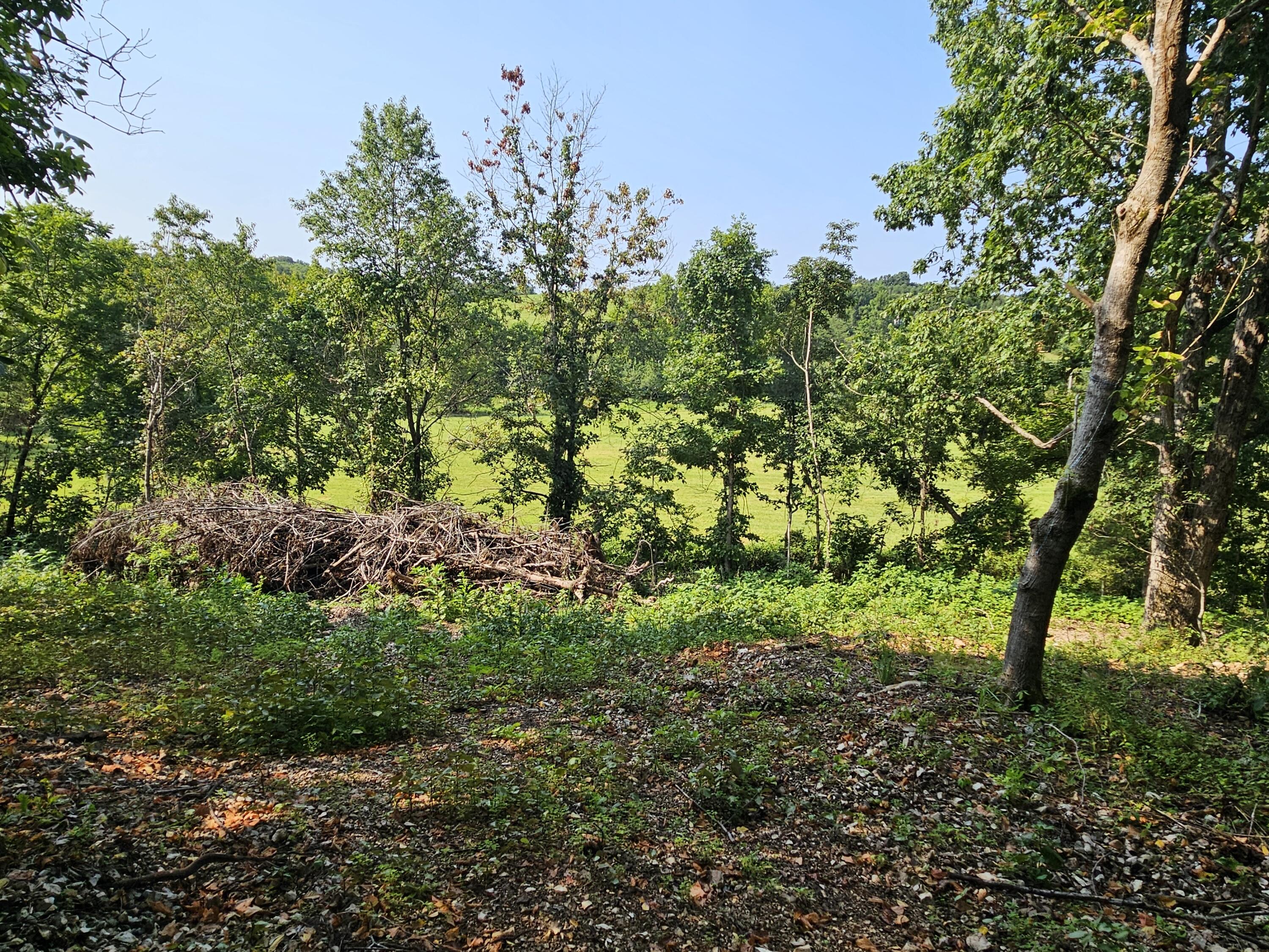 Land for sale – 000  Mclean Road  Ozark, MO