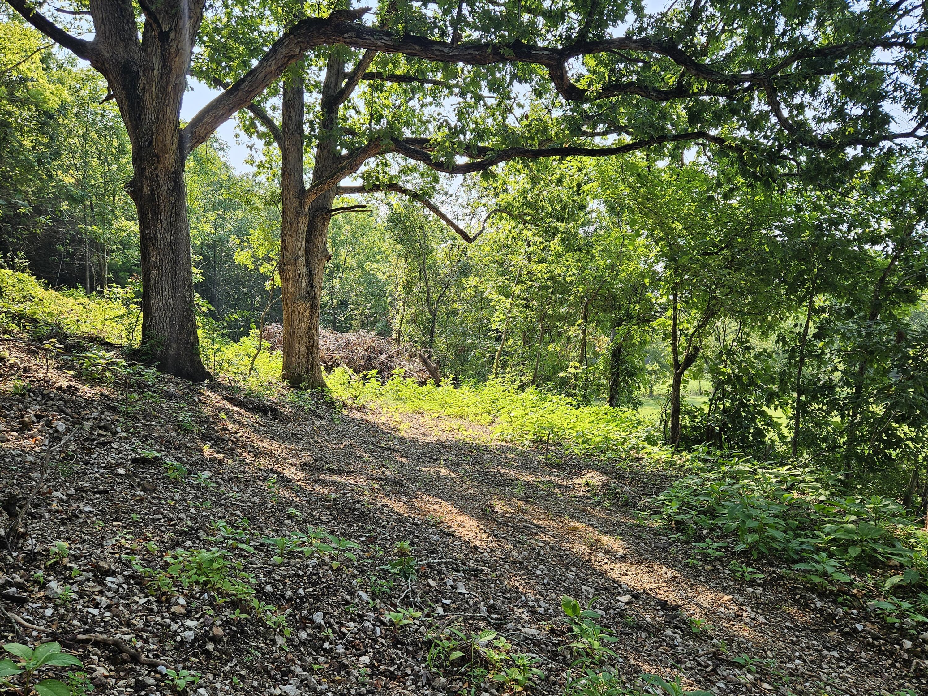 Photo 13 - Land for sale – 000  Mclean Road  Ozark, MO