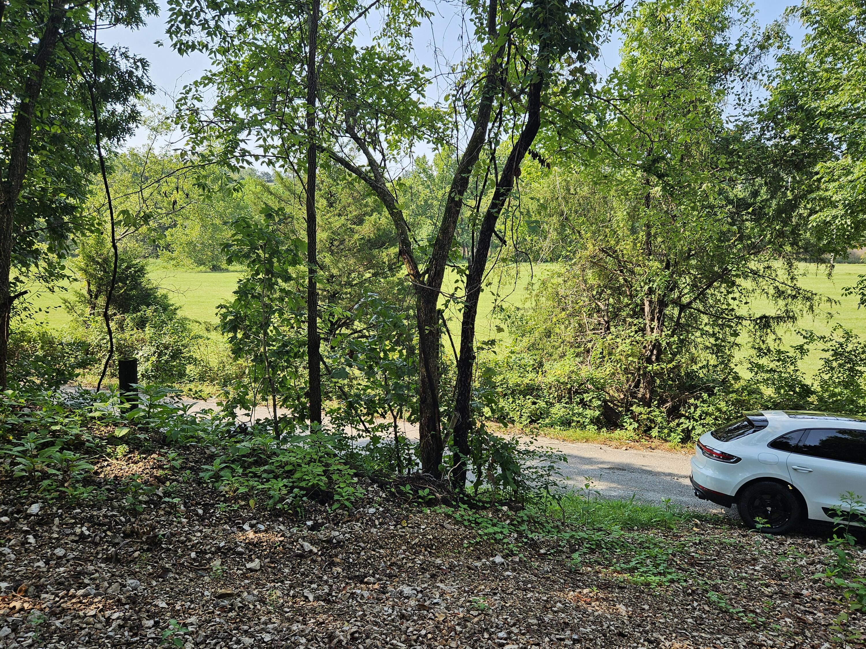 Photo 14 - Land for sale – 000  Mclean Road  Ozark, MO