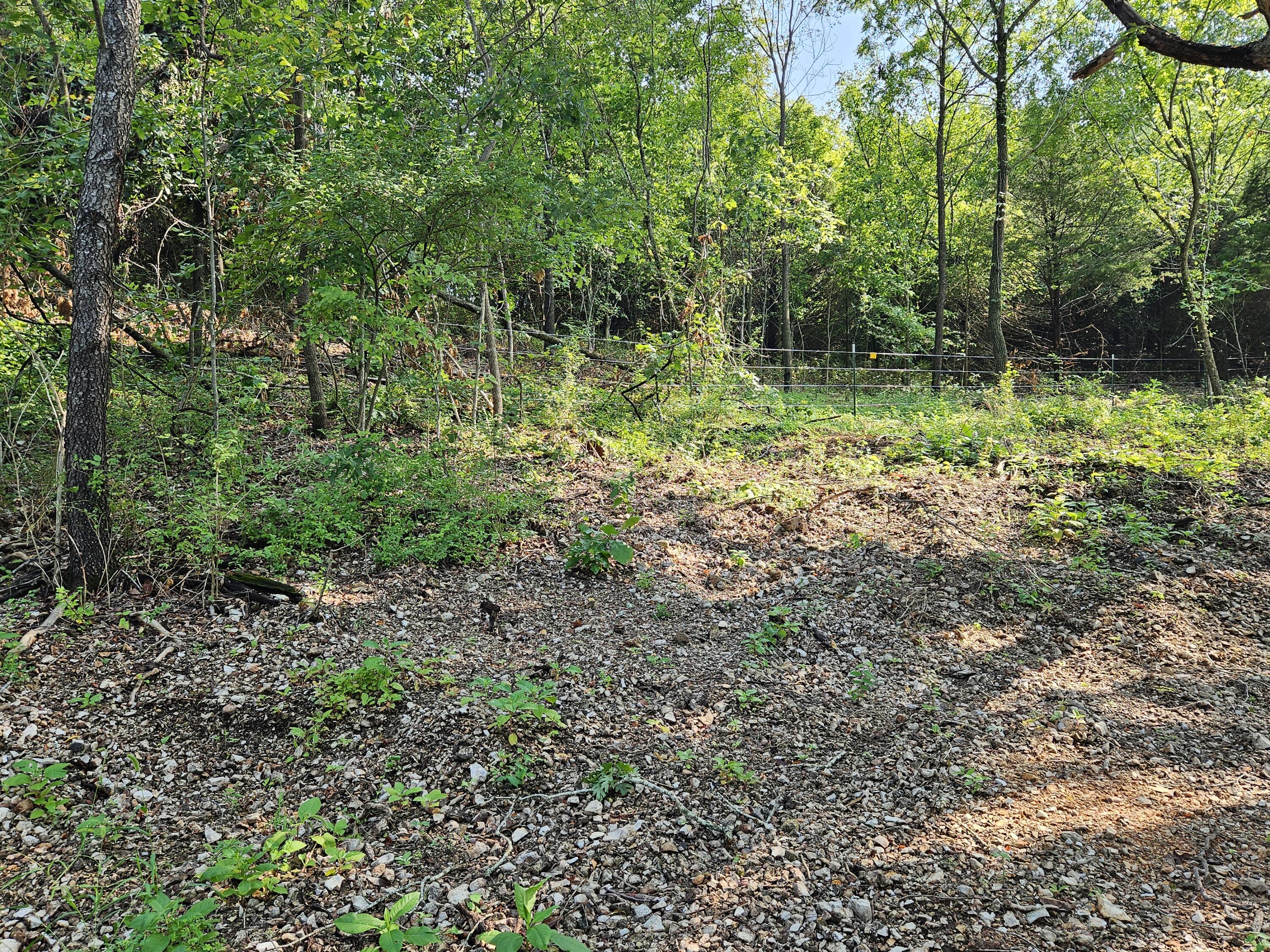 Photo 11 - Land for sale – 000  Mclean Road  Ozark, MO