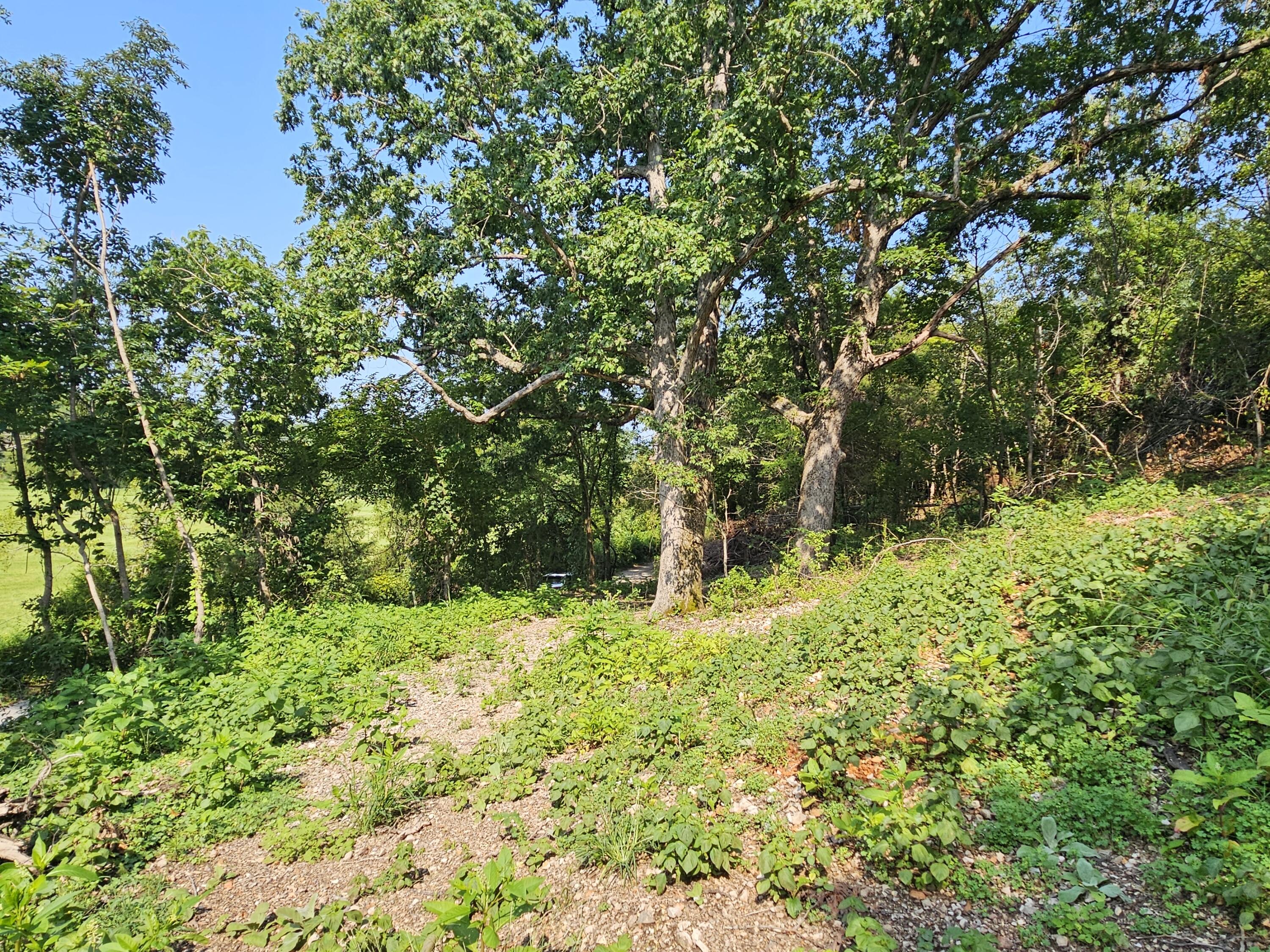 Photo 4 - Land for sale – 000  Mclean Road  Ozark, MO