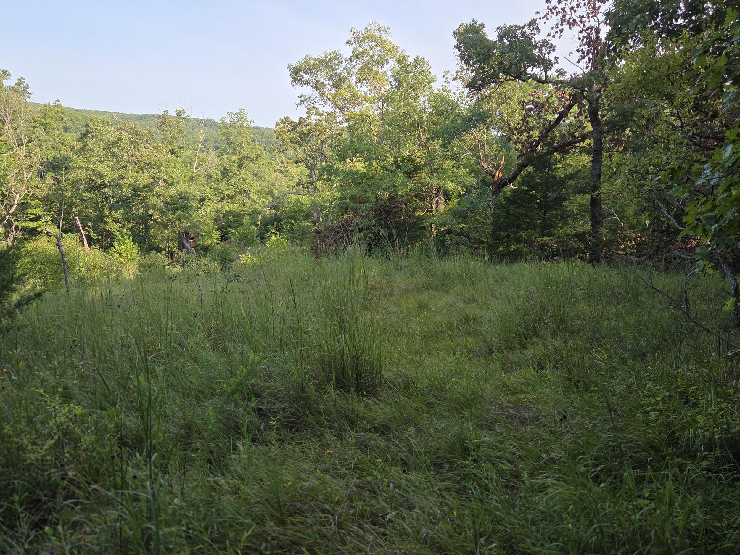 Photo 27 - Land for sale – 000  Sandy Road  Edwards, MO