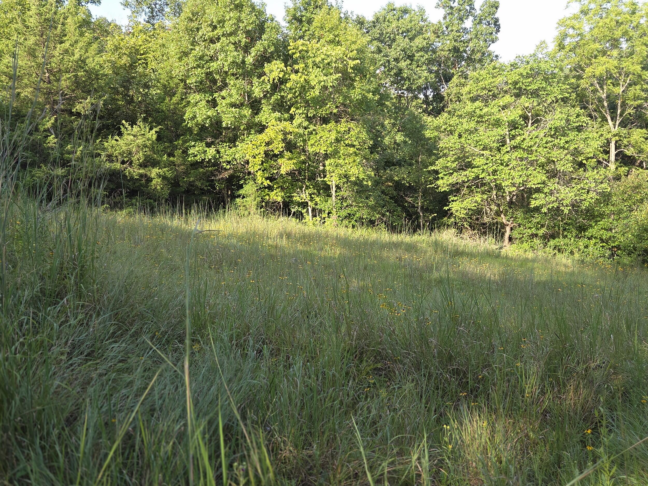 Photo 29 - Land for sale – 000  Sandy Road  Edwards, MO