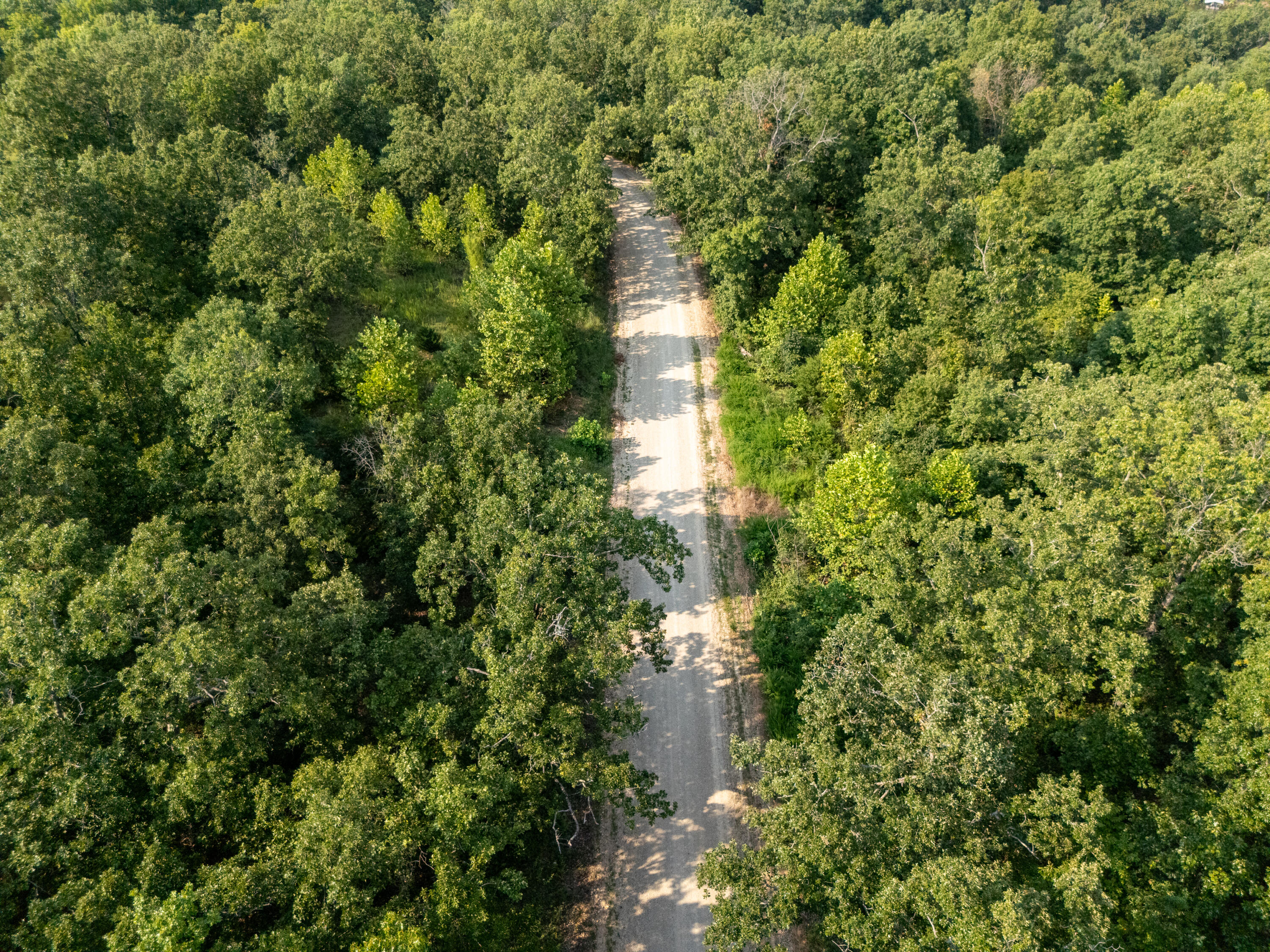 Photo 15 - Land for sale – 000  Sandy Road  Edwards, MO