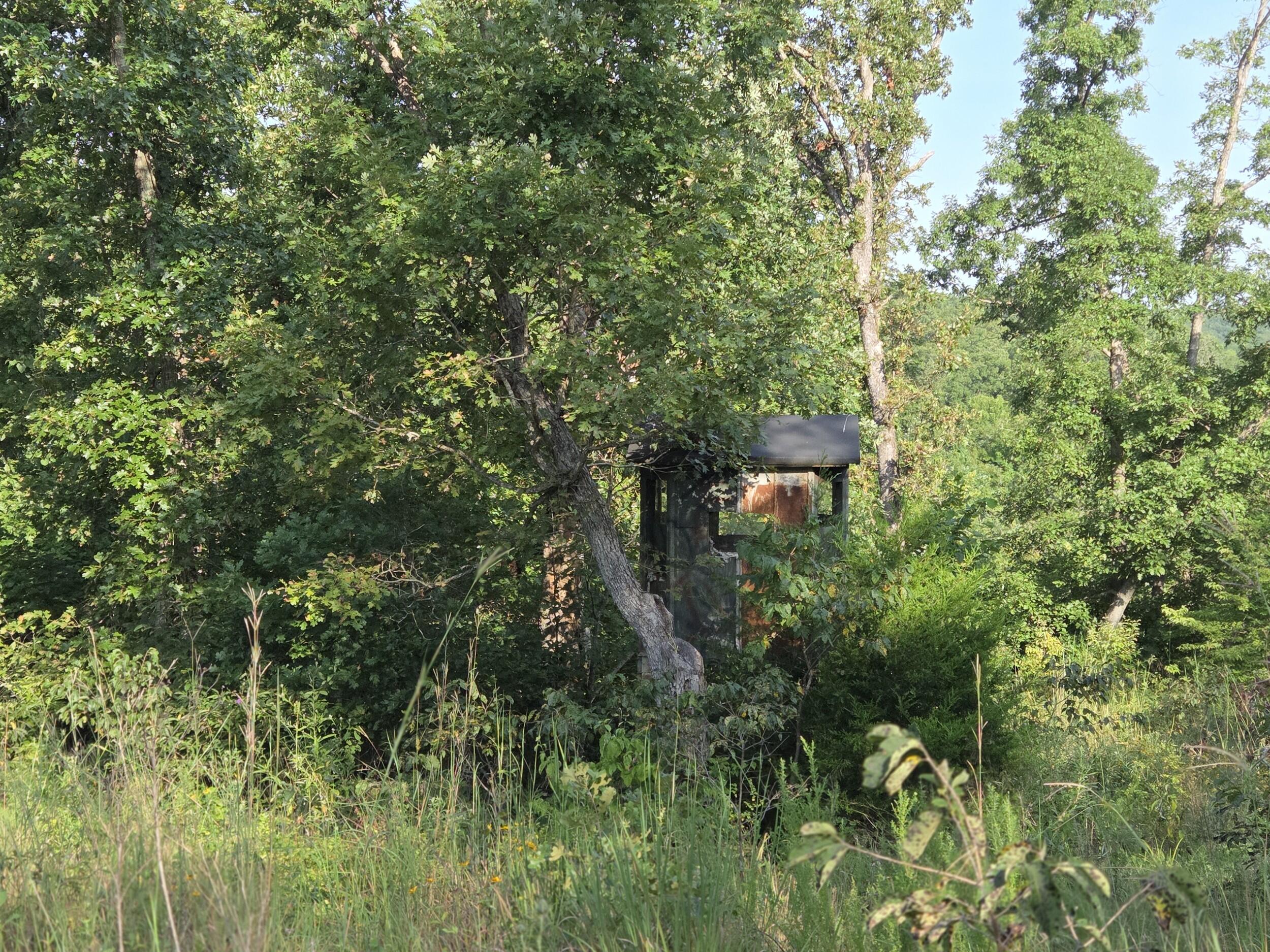 Photo 10 - Land for sale – 000  Sandy Road  Edwards, MO