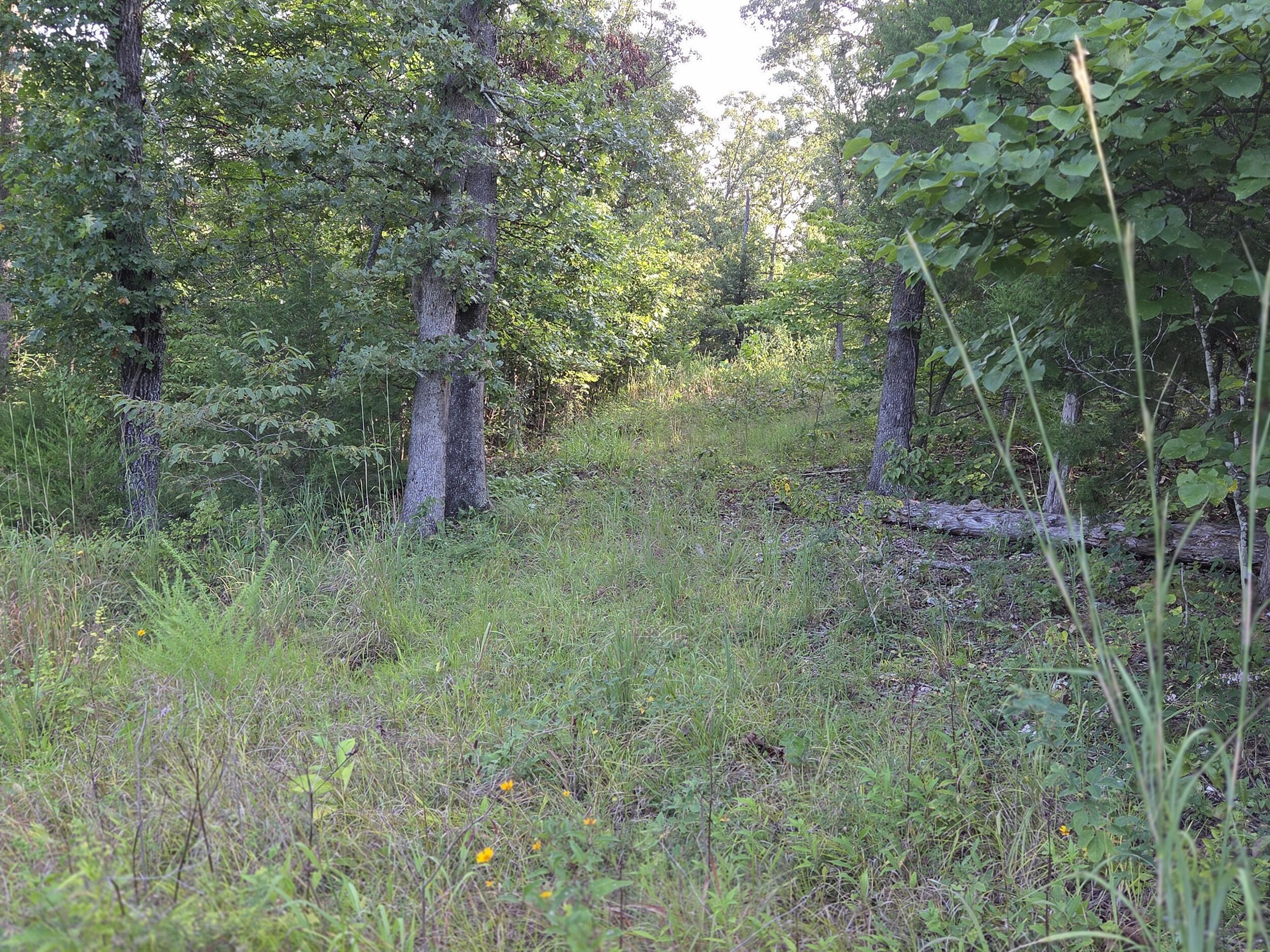 Photo 30 - Land for sale – 000  Sandy Road  Edwards, MO