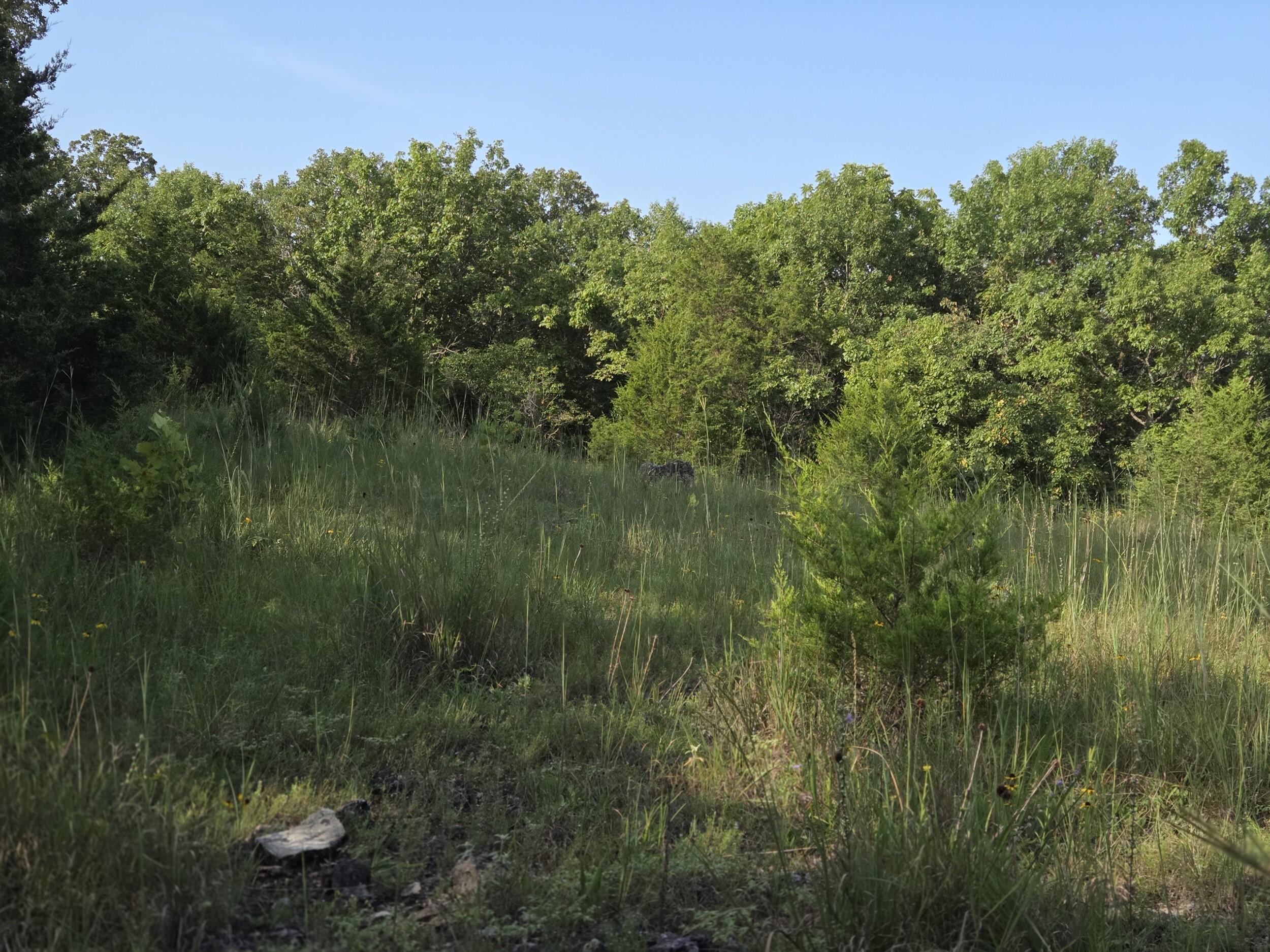 Photo 8 - Land for sale – 000  Sandy Road  Edwards, MO