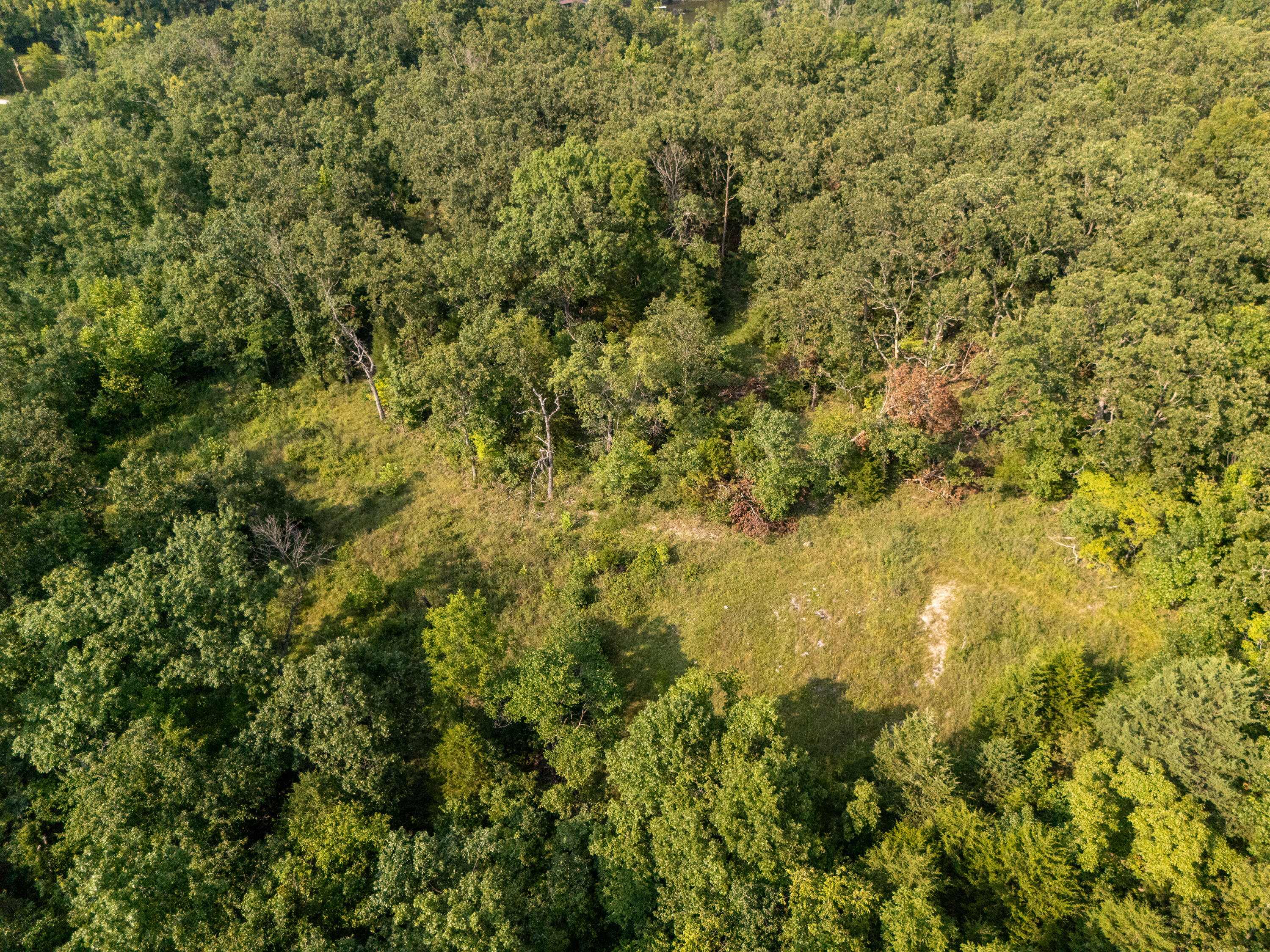 Photo 3 - Land for sale – 000  Sandy Road  Edwards, MO