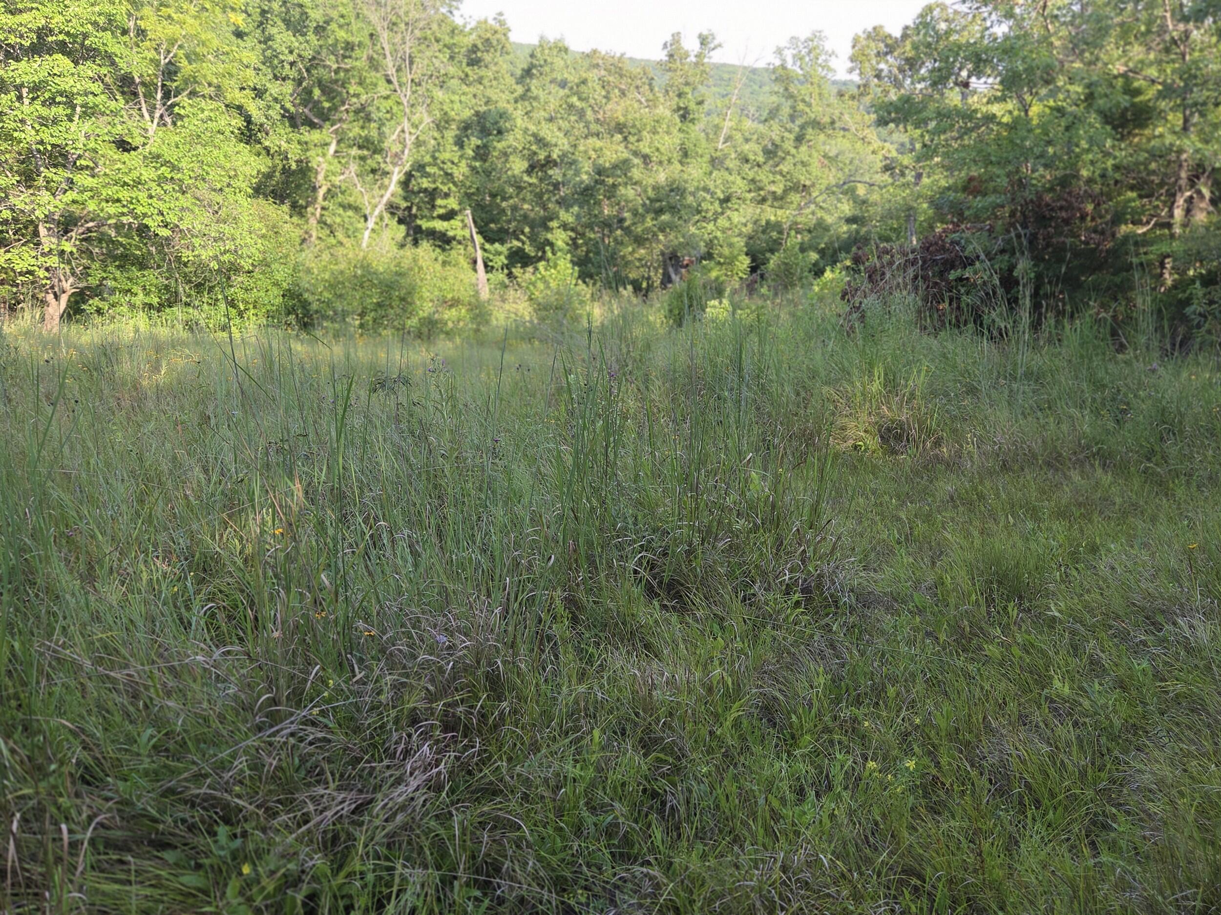 Photo 28 - Land for sale – 000  Sandy Road  Edwards, MO