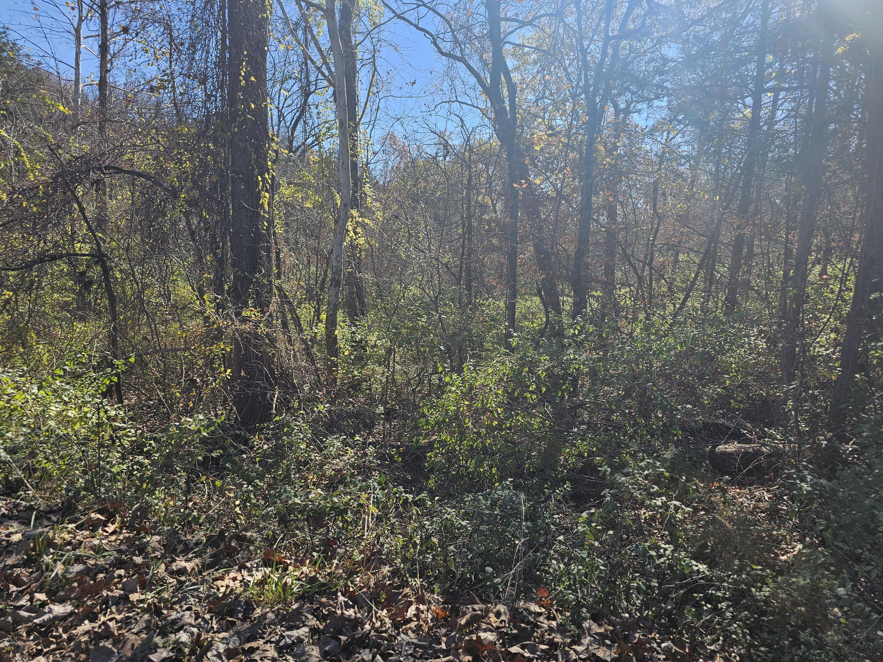 Photo 2 - Land for sale – 000  Spruce Avenue  Merriam Woods, MO