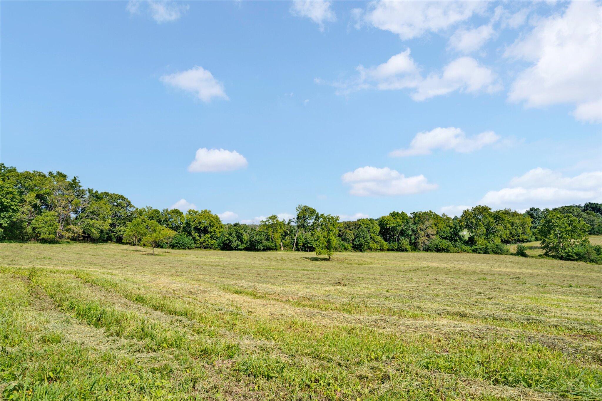Photo 62 - Residential for sale – 1337 W Rosedale Road  Nixa, MO