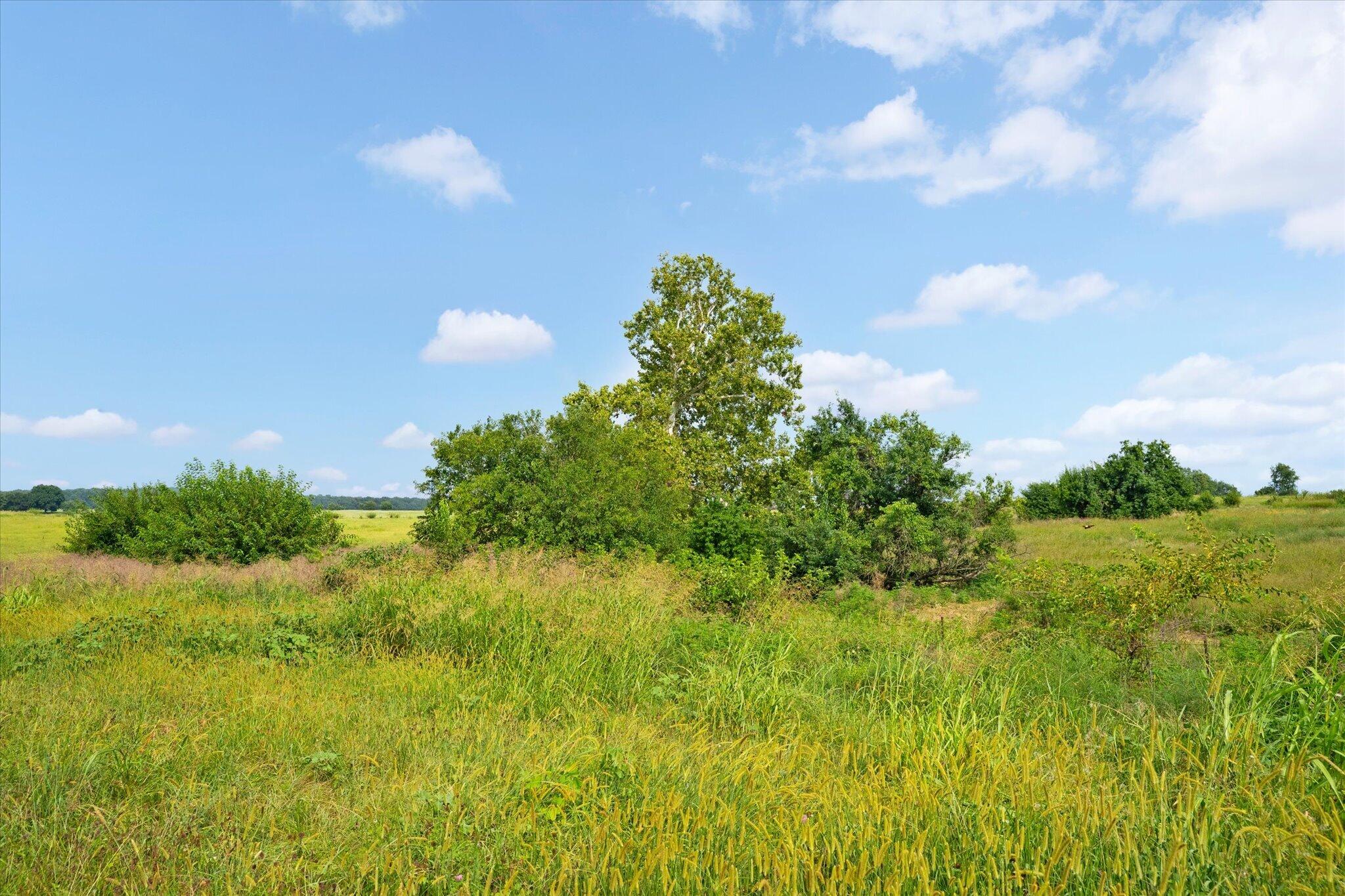 Photo 7 - Land for sale – 000 W Farm Rd 22   Walnut Grove, MO