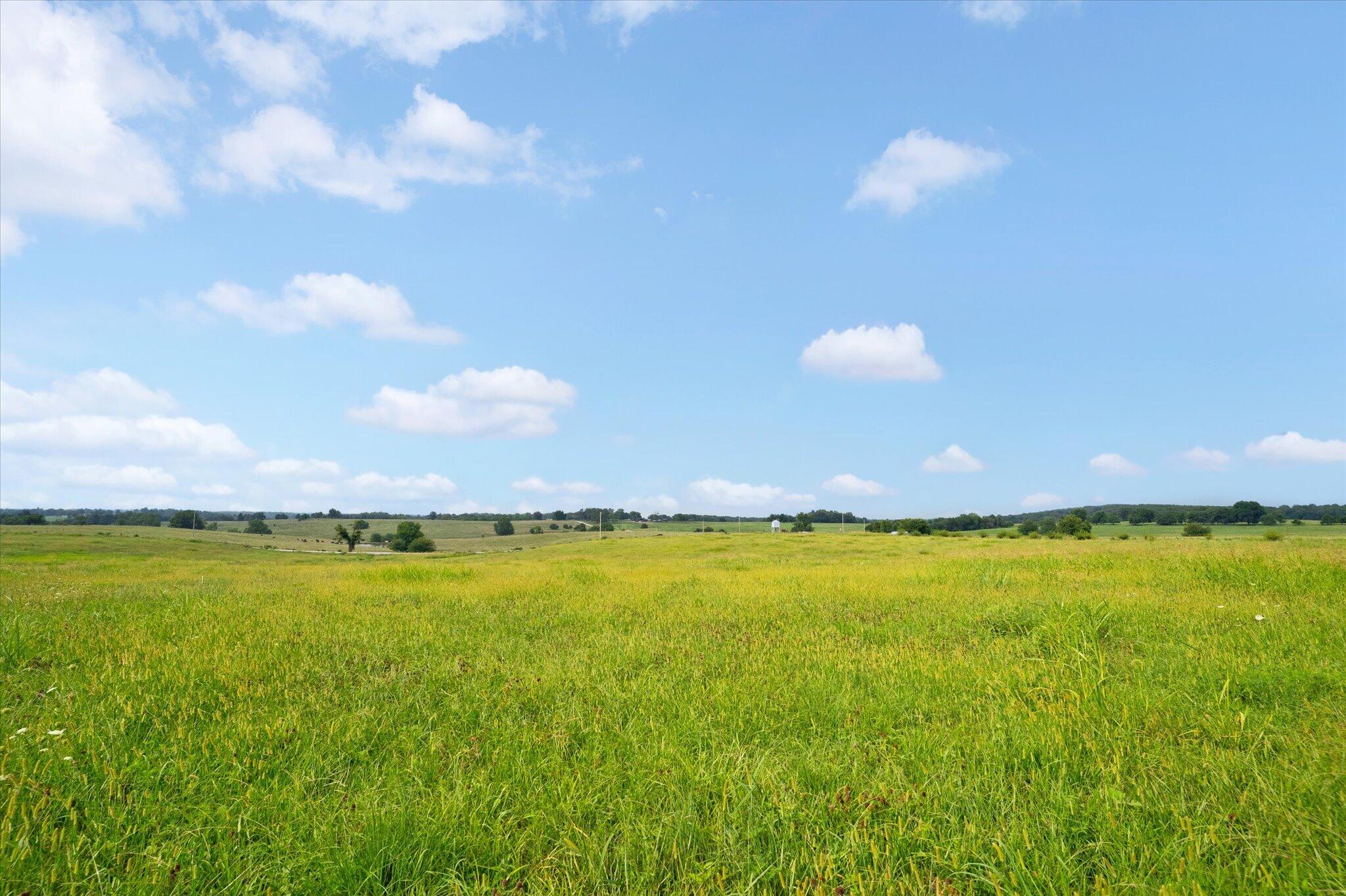 Photo 9 - Land for sale – 000 W Farm Rd 22   Walnut Grove, MO