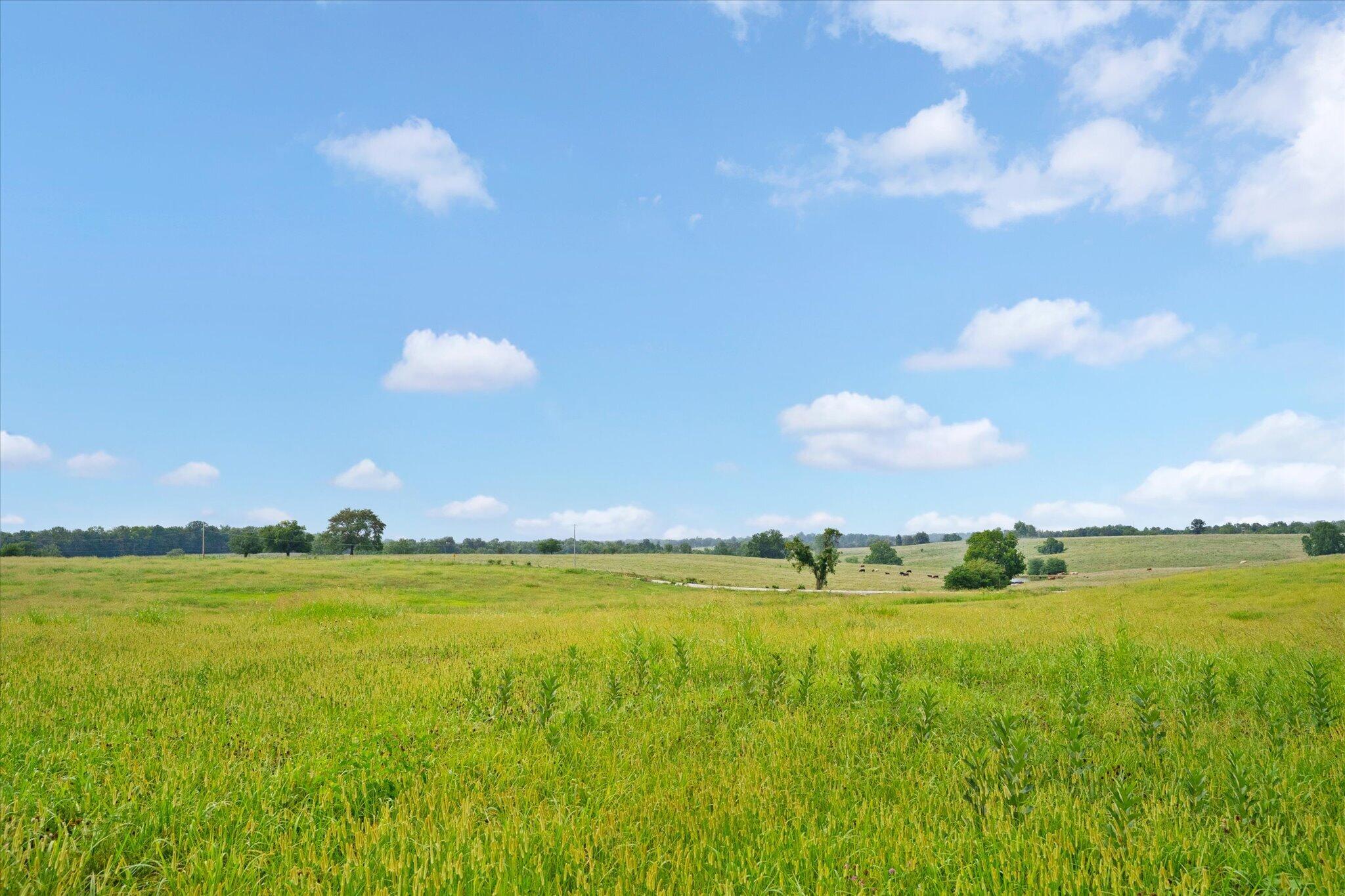 Photo 5 - Land for sale – 000 W Farm Rd 22   Walnut Grove, MO