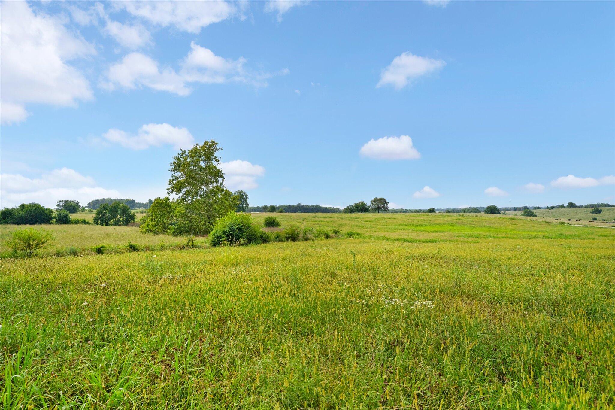 Photo 6 - Land for sale – 000 W Farm Rd 22   Walnut Grove, MO