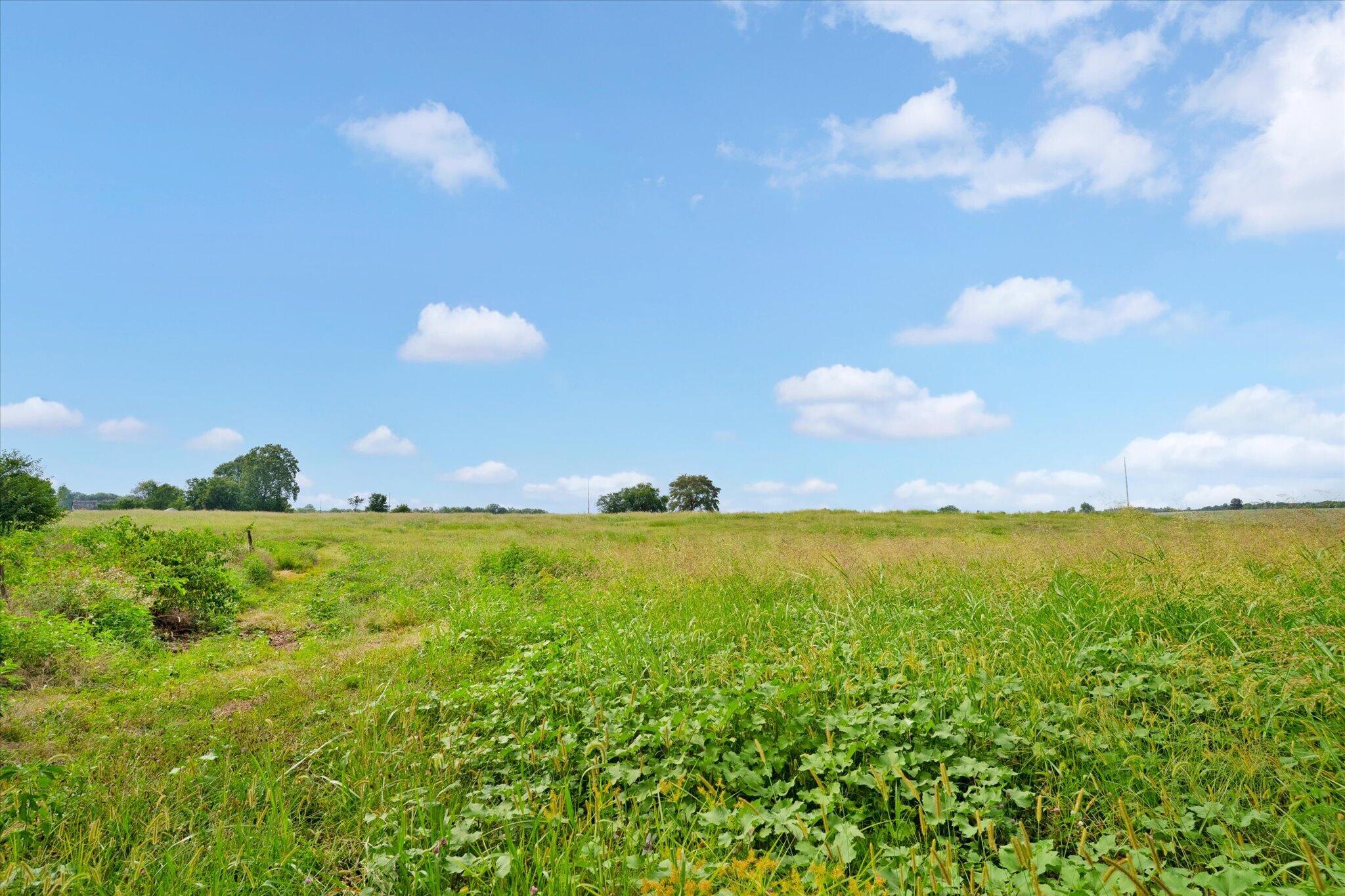 Photo 10 - Land for sale – 000 W Farm Rd 22   Walnut Grove, MO