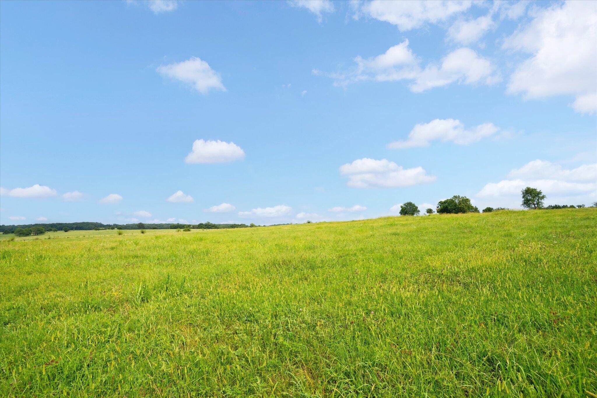 Photo 8 - Land for sale – 000 W Farm Rd 22   Walnut Grove, MO