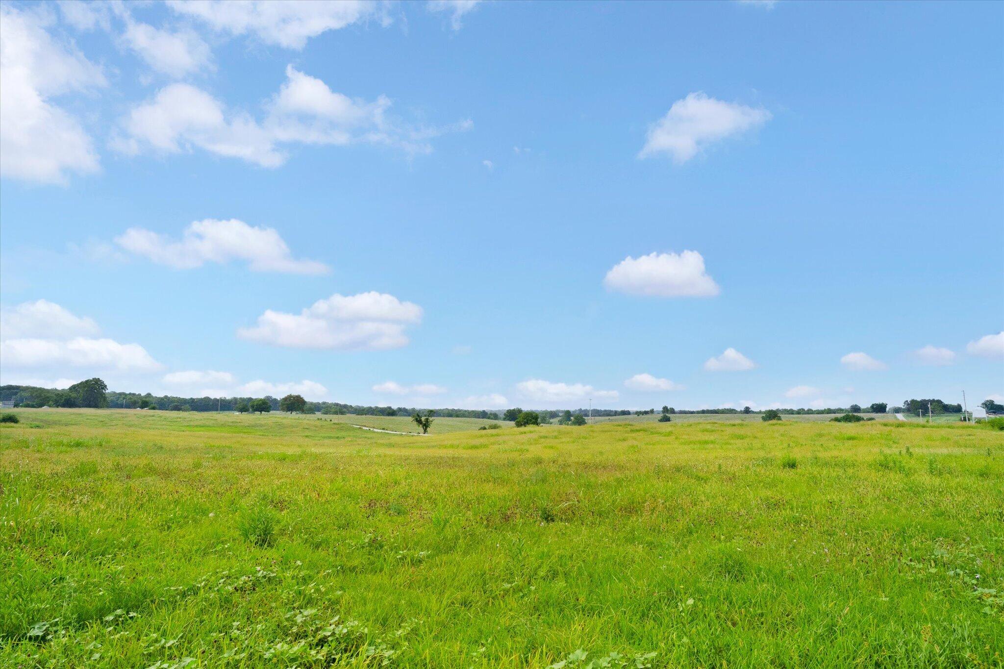 Photo 4 - Land for sale – 000 W Farm Rd 22   Walnut Grove, MO