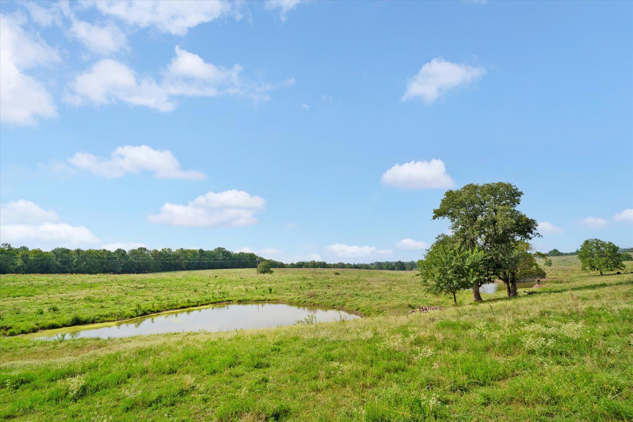 Photo 15 - Land for sale – 9749 W Farm Road 22   Walnut Grove, MO