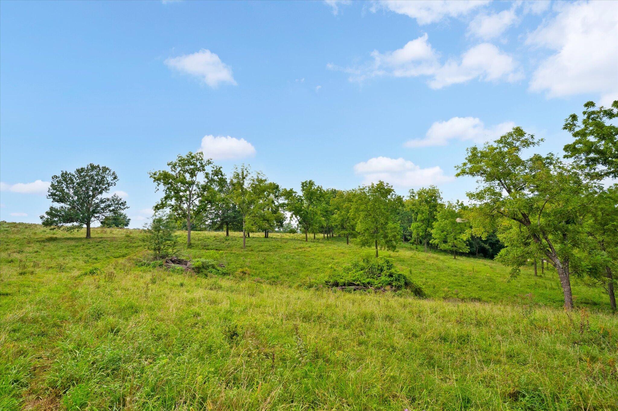 Photo 28 - Land for sale – 9749 W Farm Road 22   Walnut Grove, MO