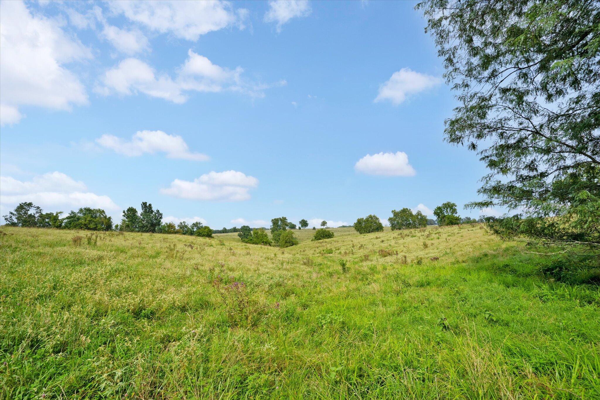 Photo 17 - Land for sale – 9749 W Farm Road 22   Walnut Grove, MO